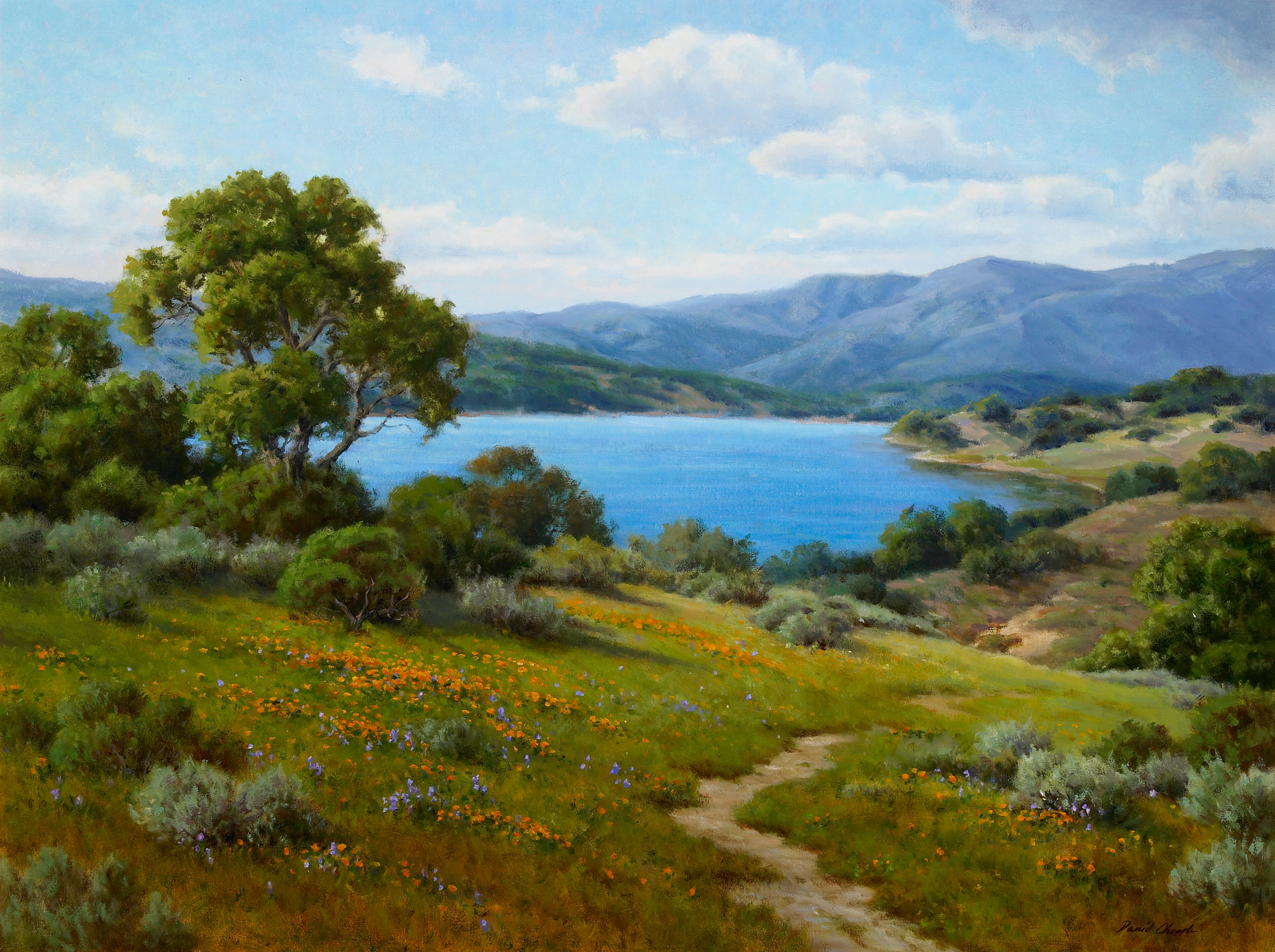Lake View