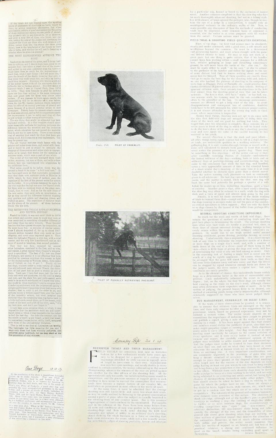 Bonhams Maud Earl British 1864 1943 Portrait Of The Black Labrador Peter Of Faskally Holding A Cock Pheasant With His Mate Dungavel Jet In A Landscape 45 11 16 X 65 3 4 In 116 X 167 Cm