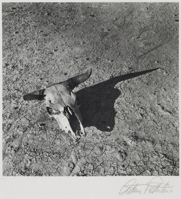 Bonhams : Arthur Rothstein (American, 1915-1985); Skull of Steer in ...