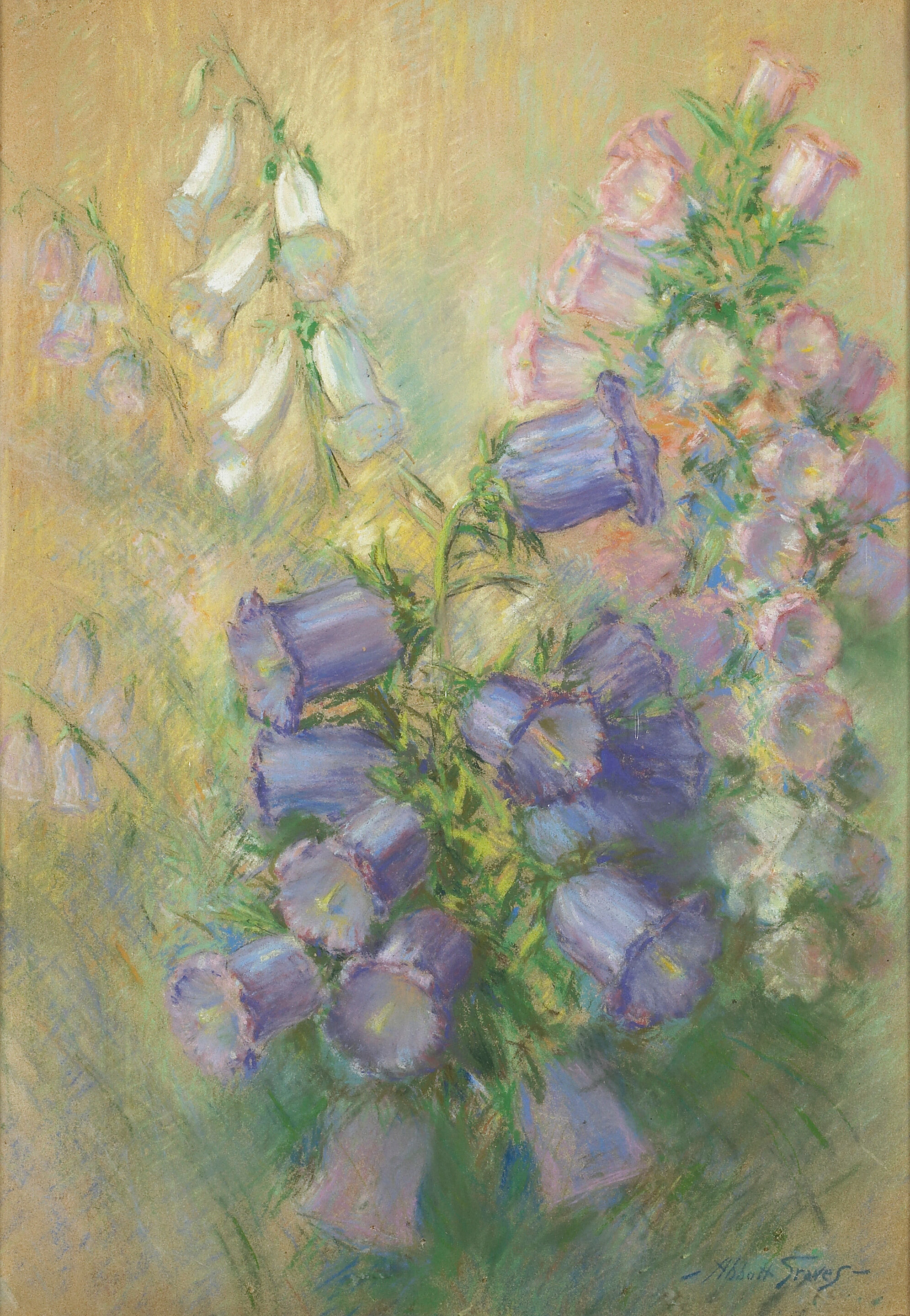Foxgloves