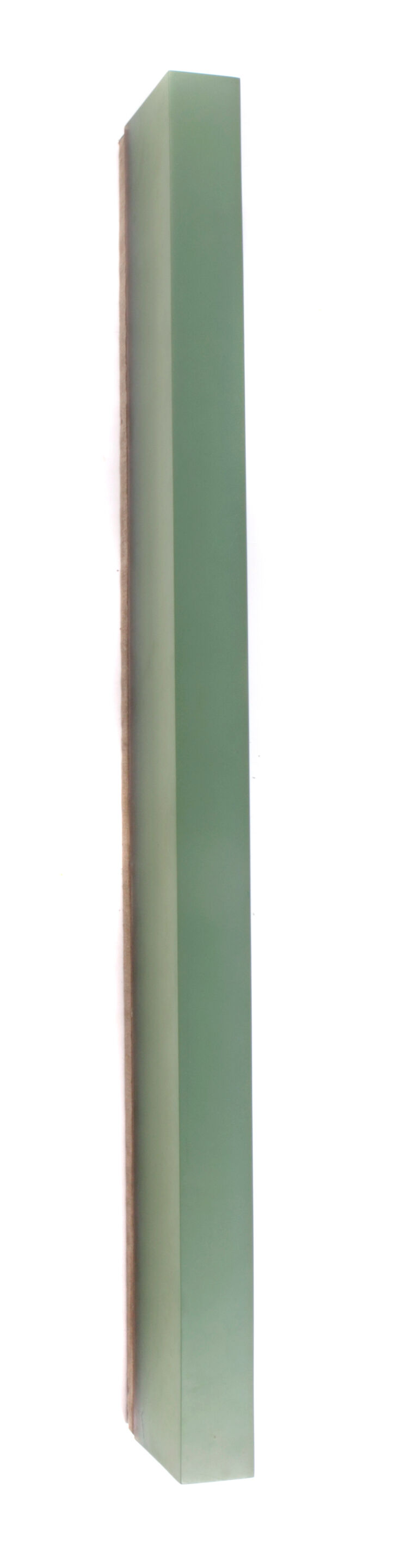 D338N