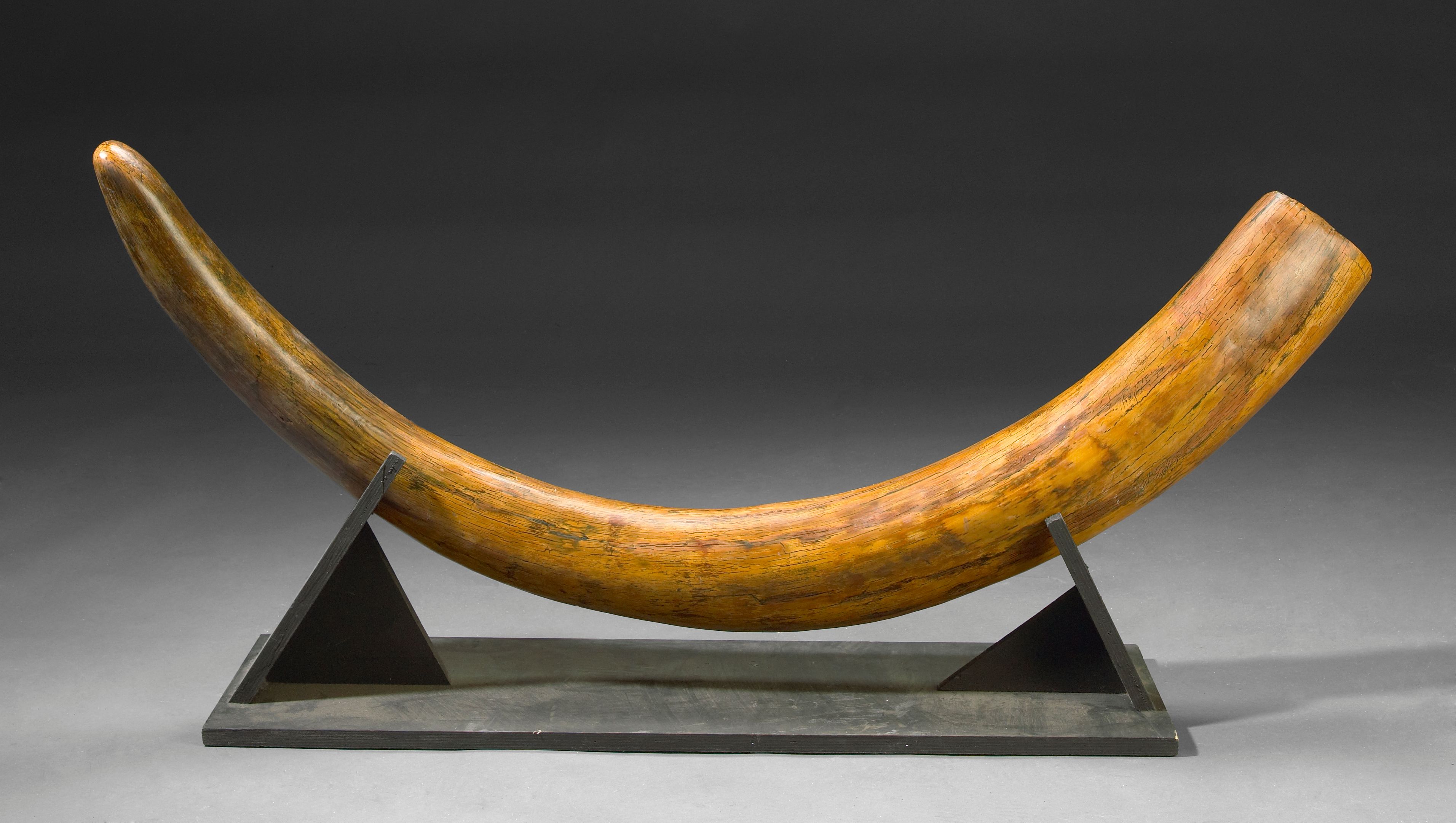 Woolly Mammoth Tusk auctions & price archive