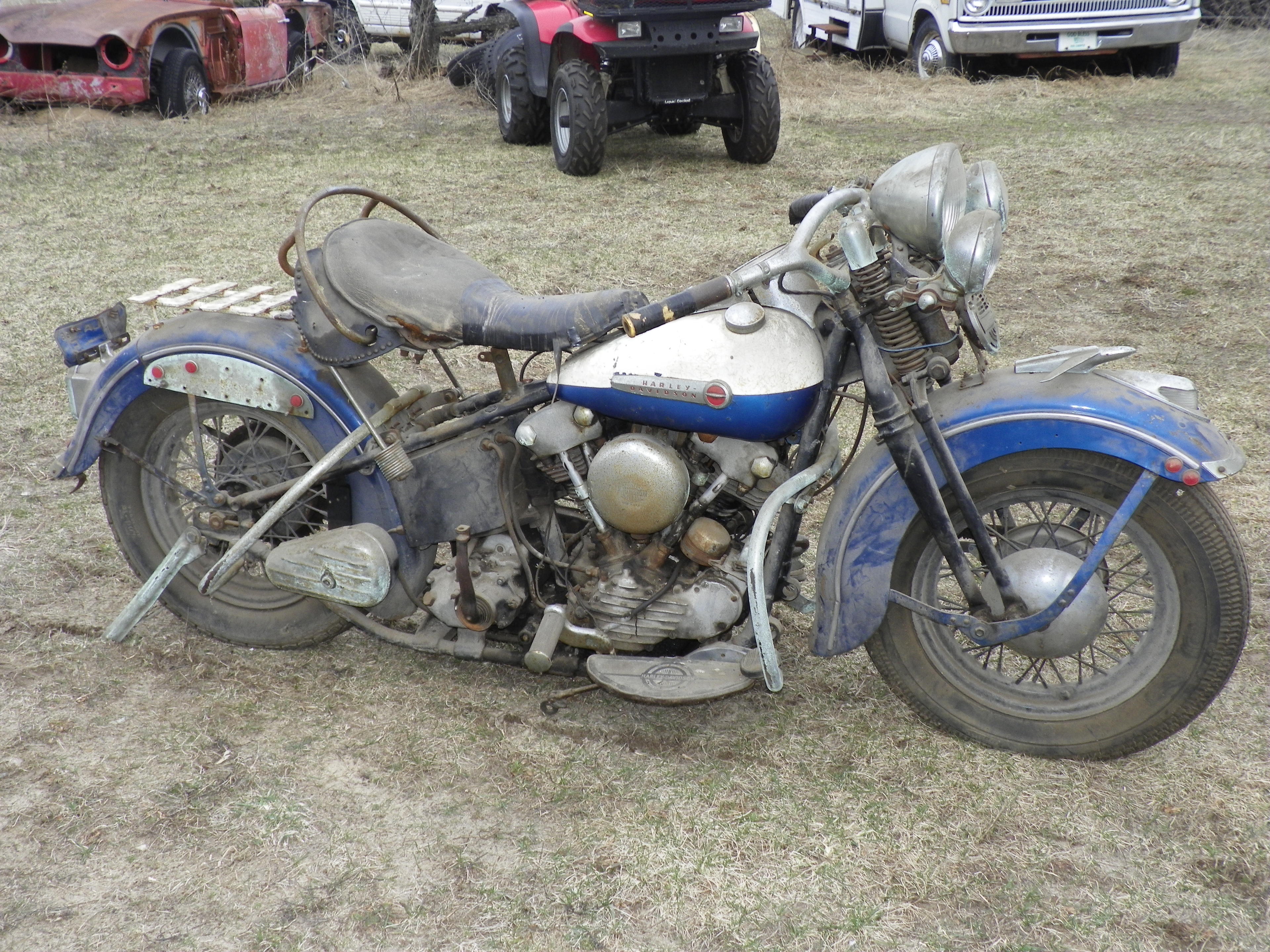 craigslist knucklehead