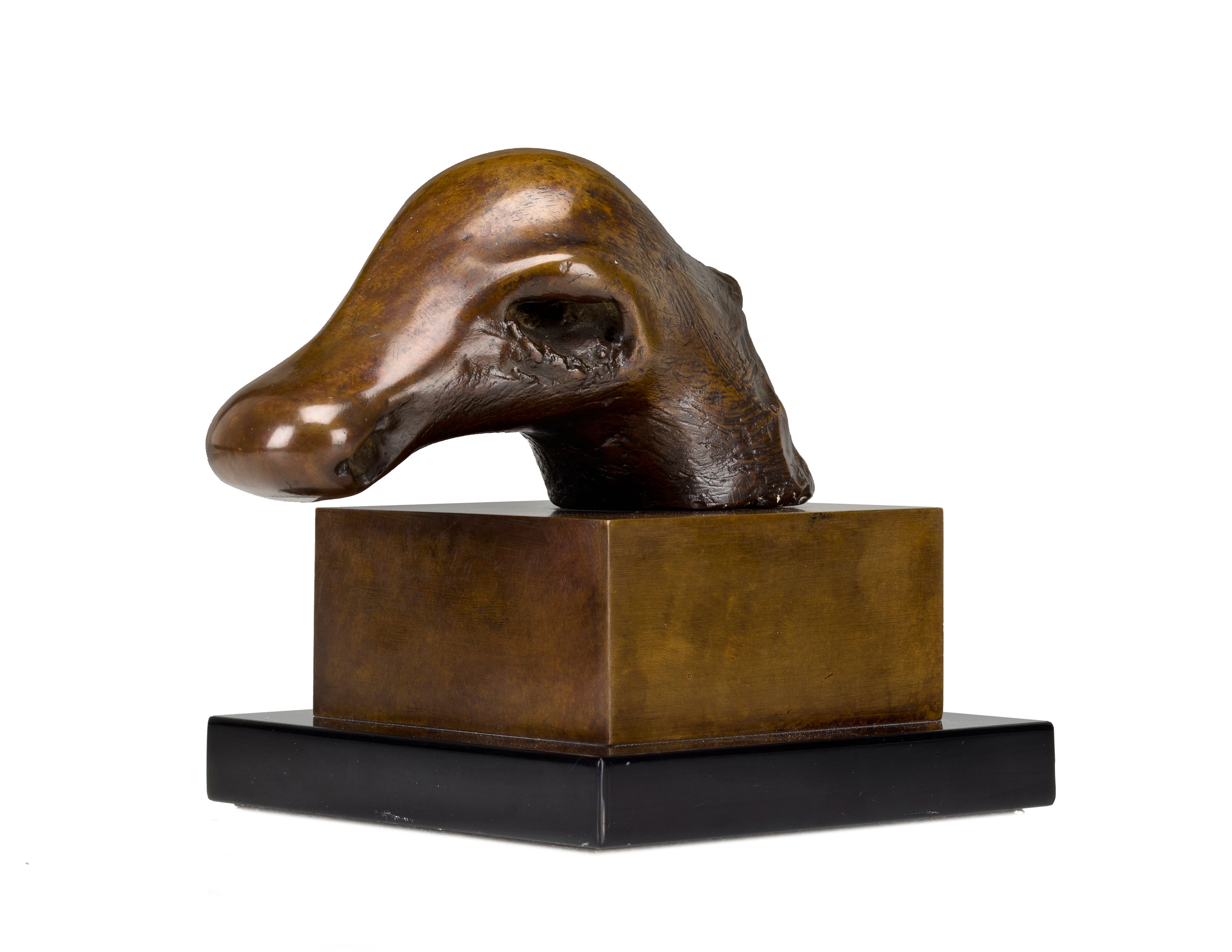 Dog's Head
