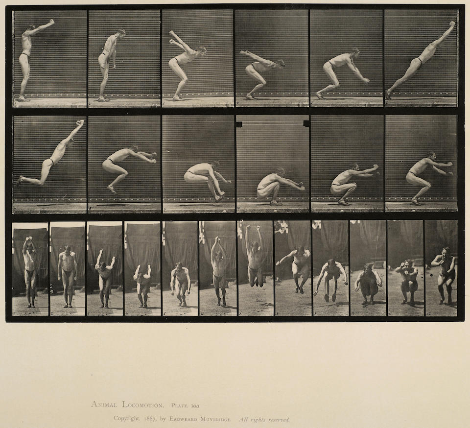 Animal Locomotion, Plate 521эдвард мейбридж1887. Майбридж биомеханика. Мейбридж движение животных и людей. Последовательные кадры.