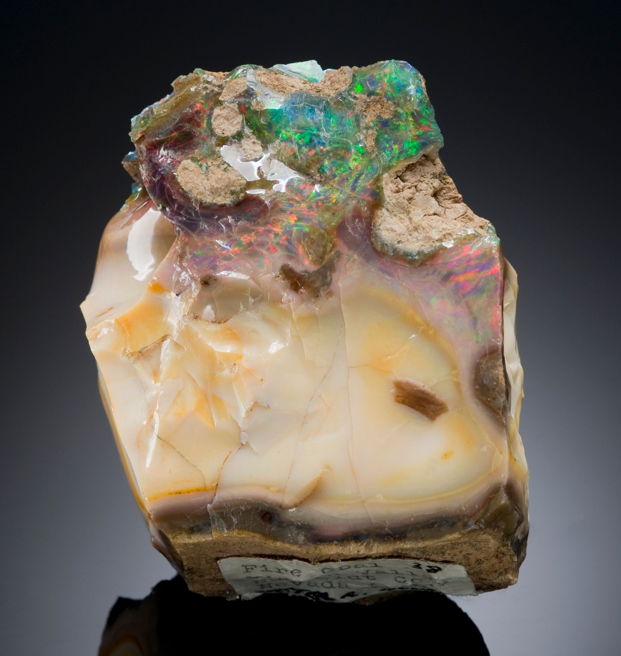 Opalized Wood