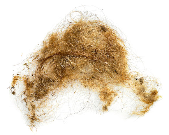 Bonhams : Woolly Mammoth Hair