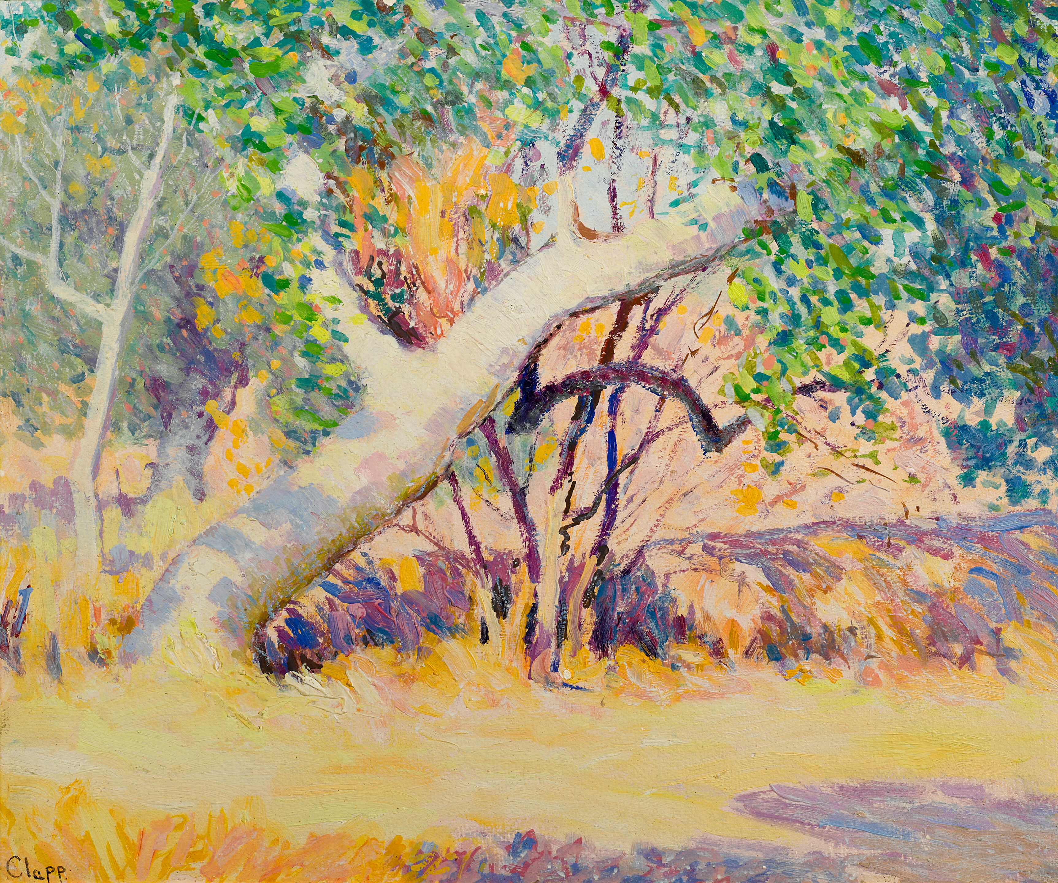 Great Diagonal Trunk