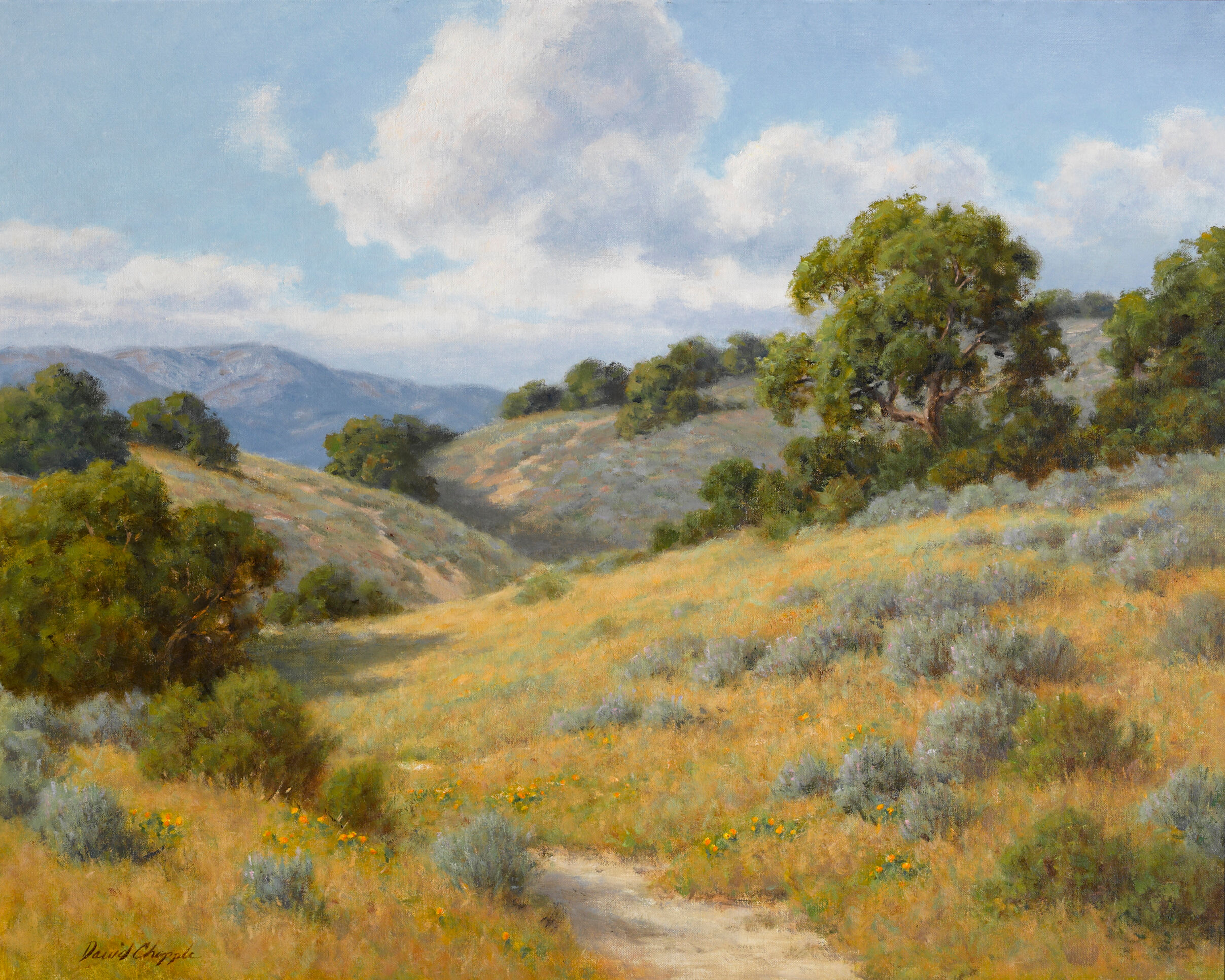 May Hillside