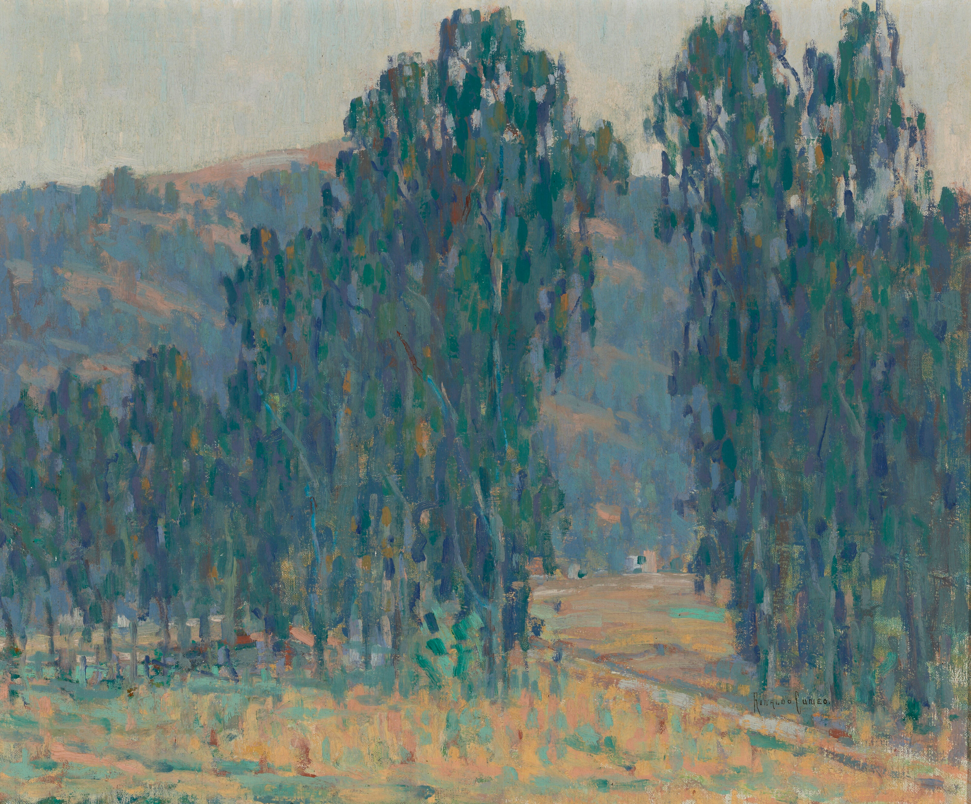 A View Through The Trees