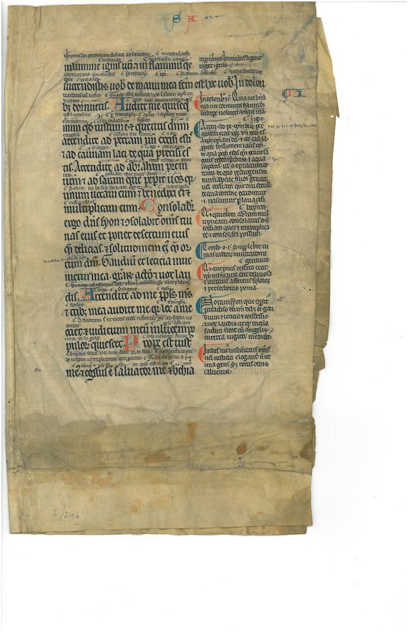 Bonhams : LEAVES—BIBLE. Latin manuscript on vellum, from the Book of ...
