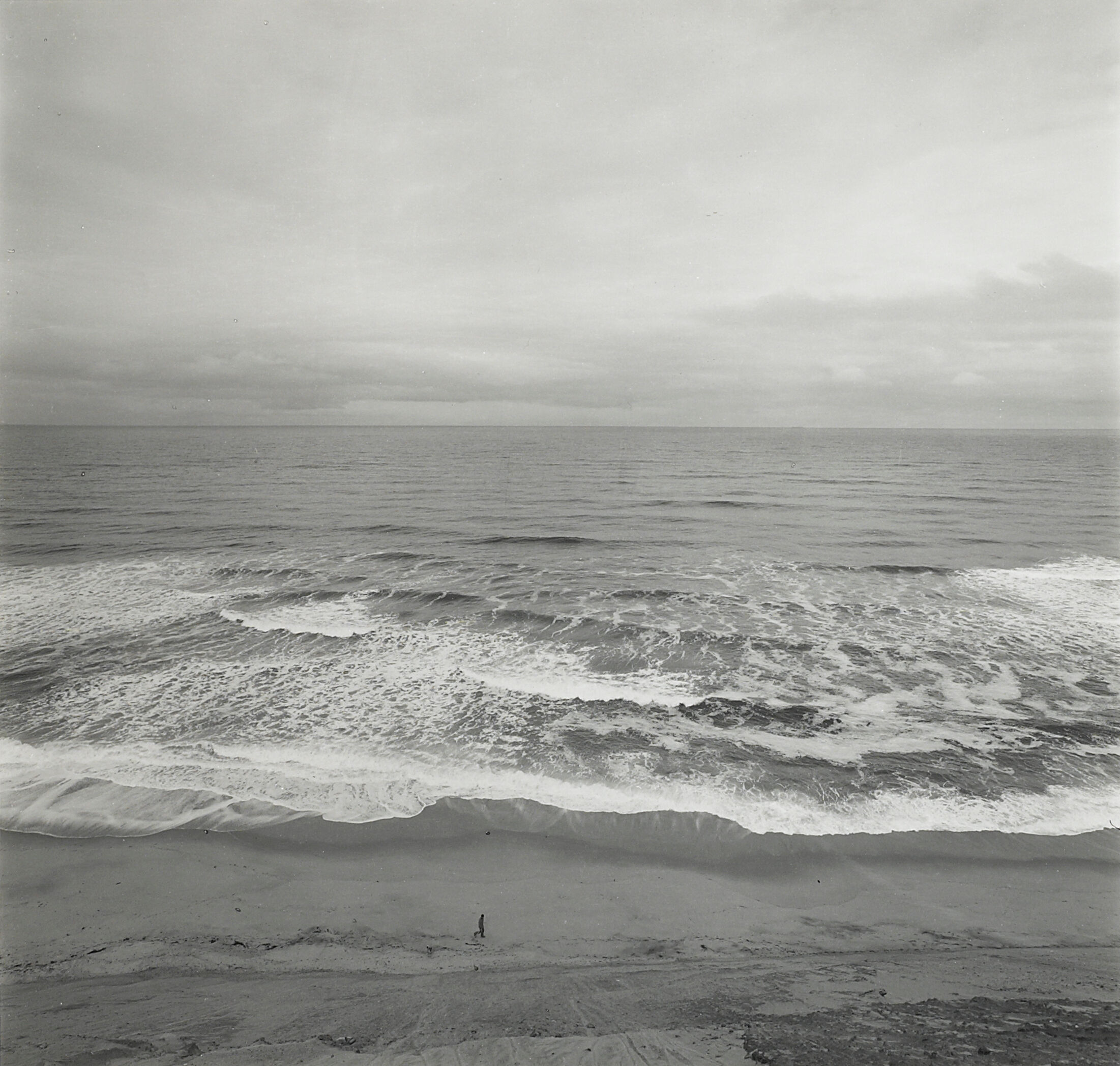 Cape Cod