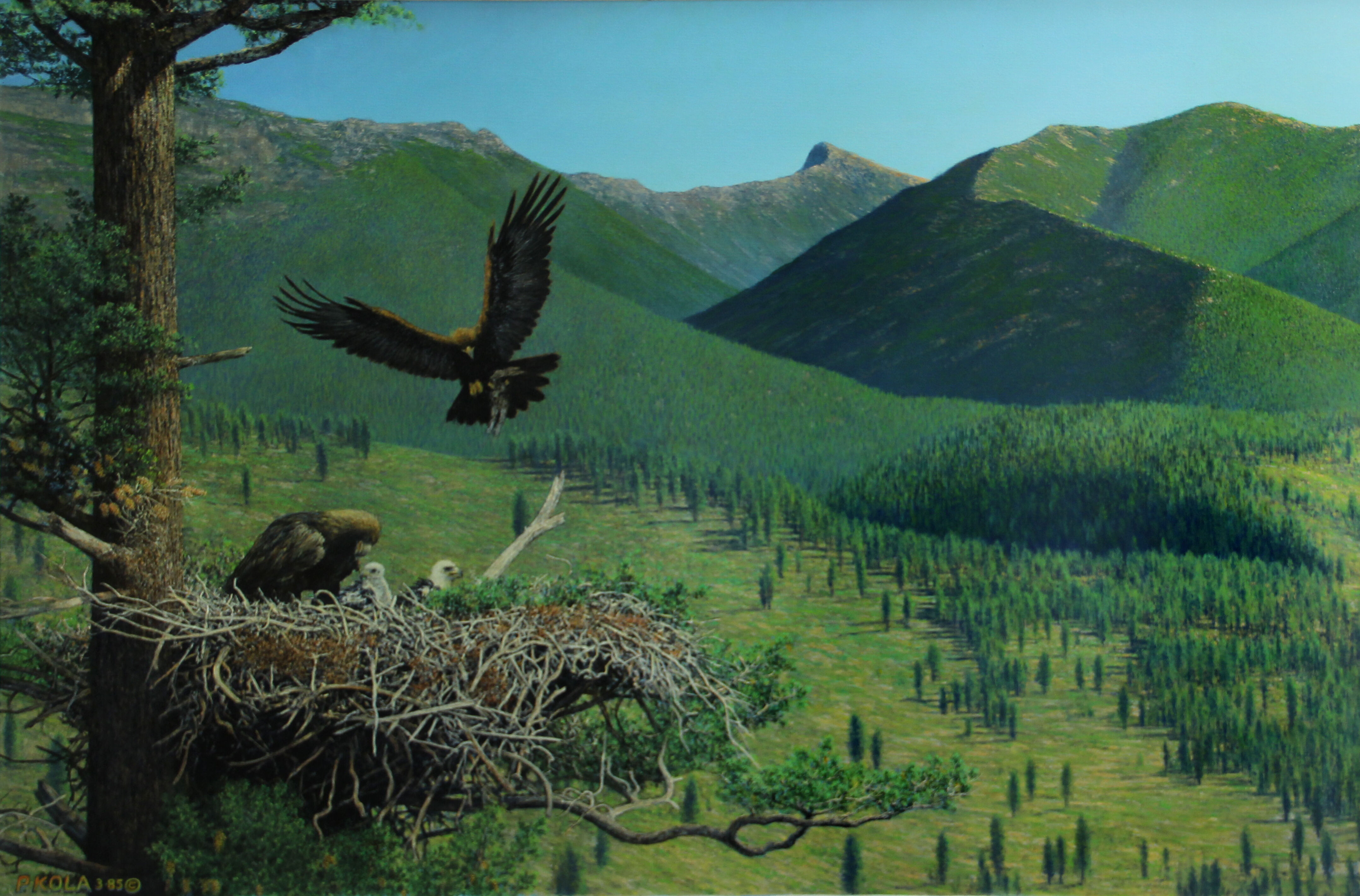 Eagle's Nest