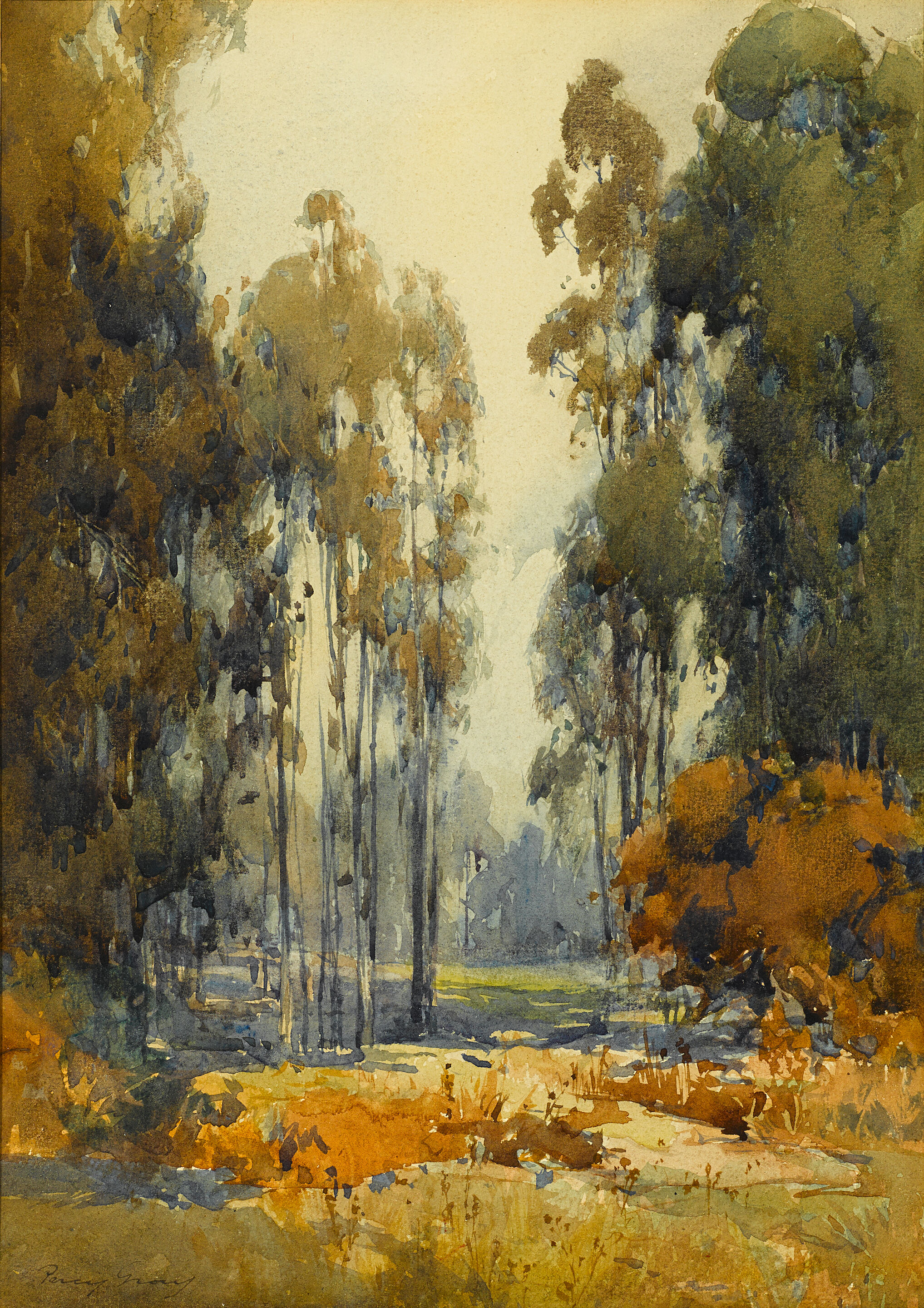 View Through The Trees