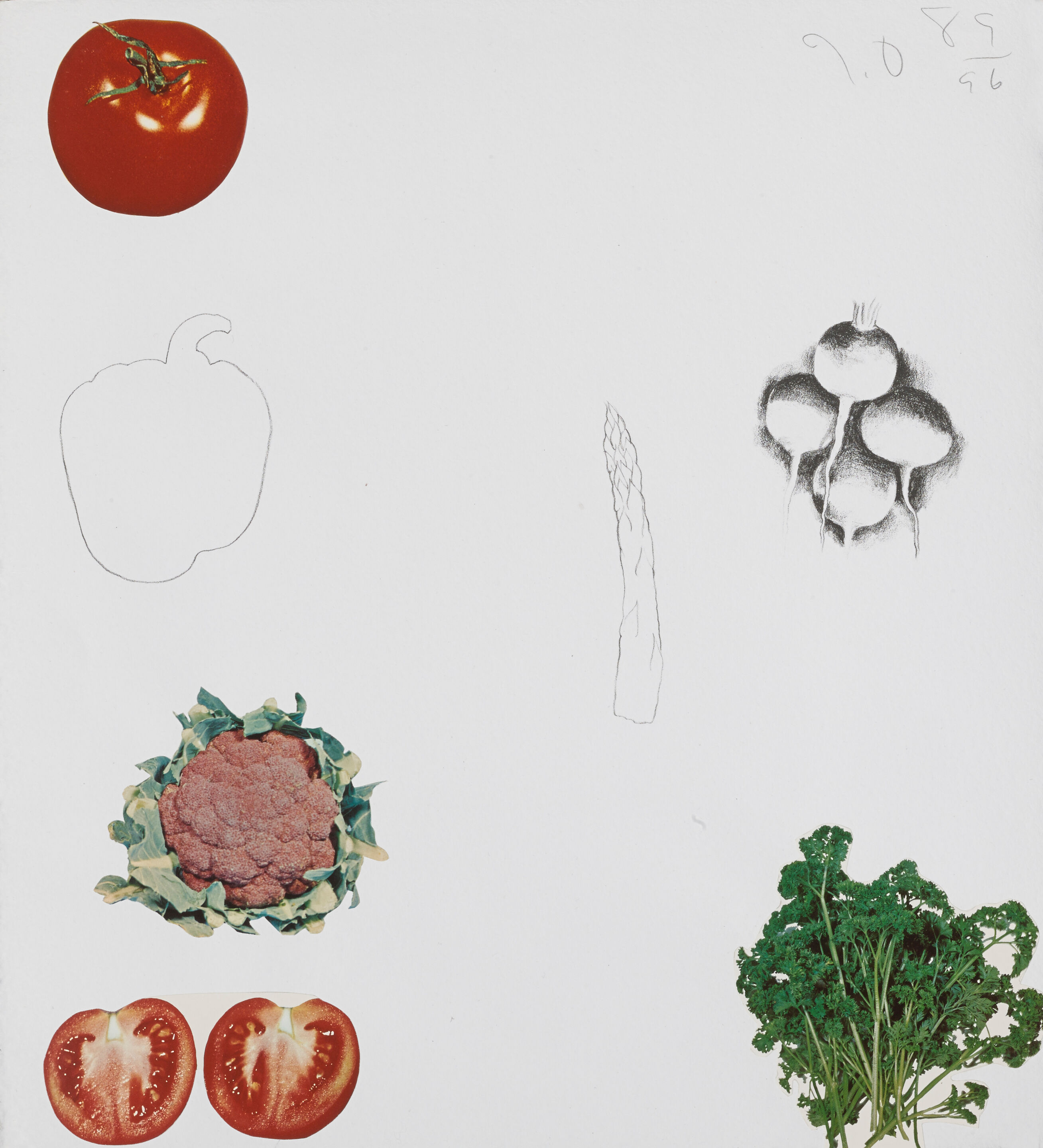 Vegetables - Thumb 8