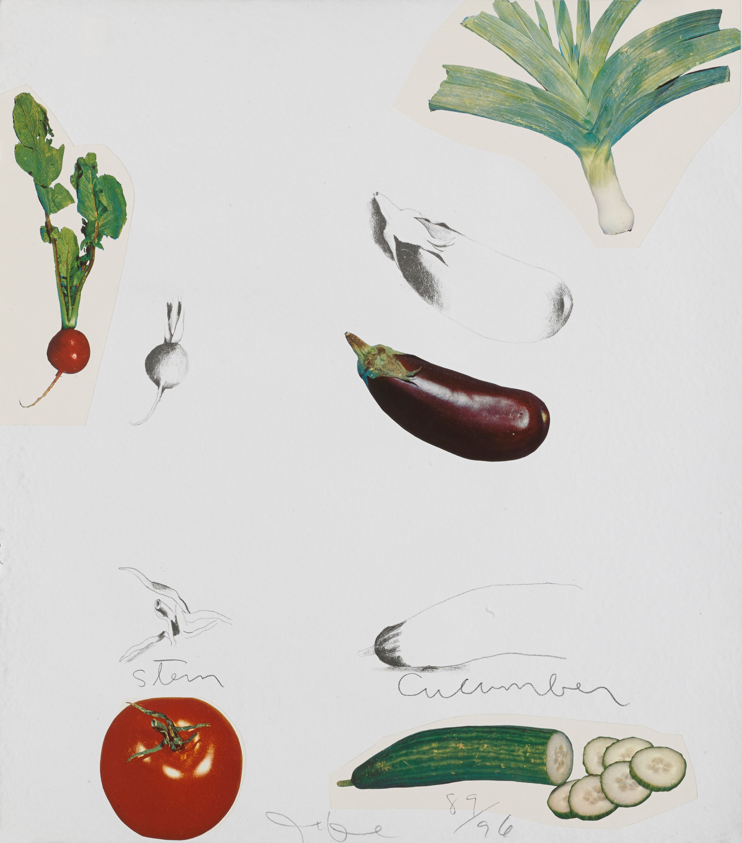 Vegetables - Thumb 5