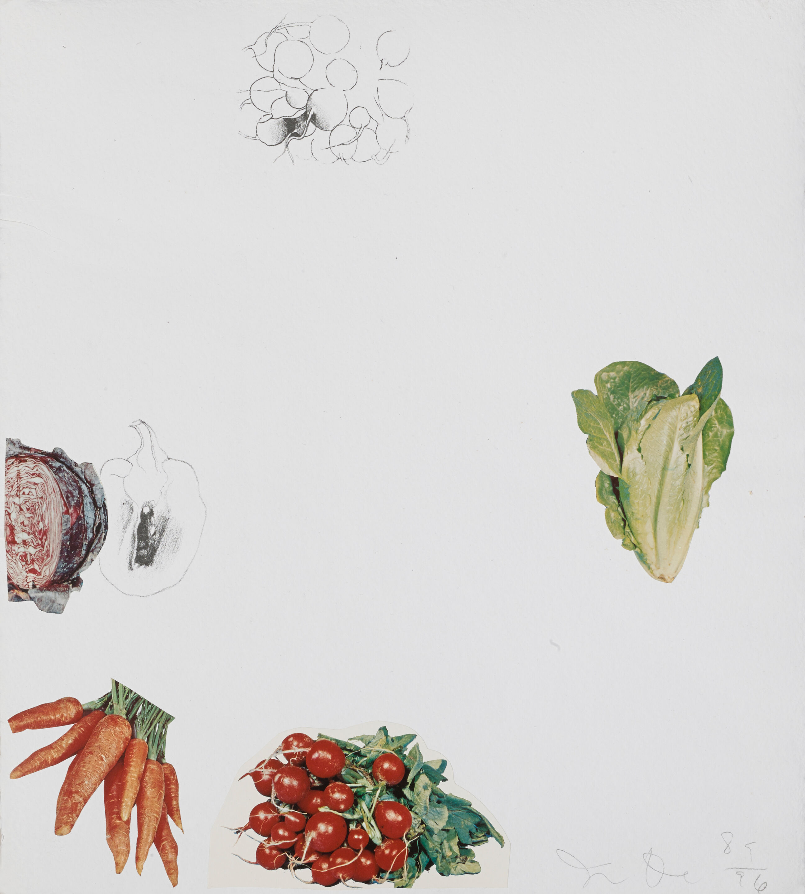 Vegetables - Thumb 4