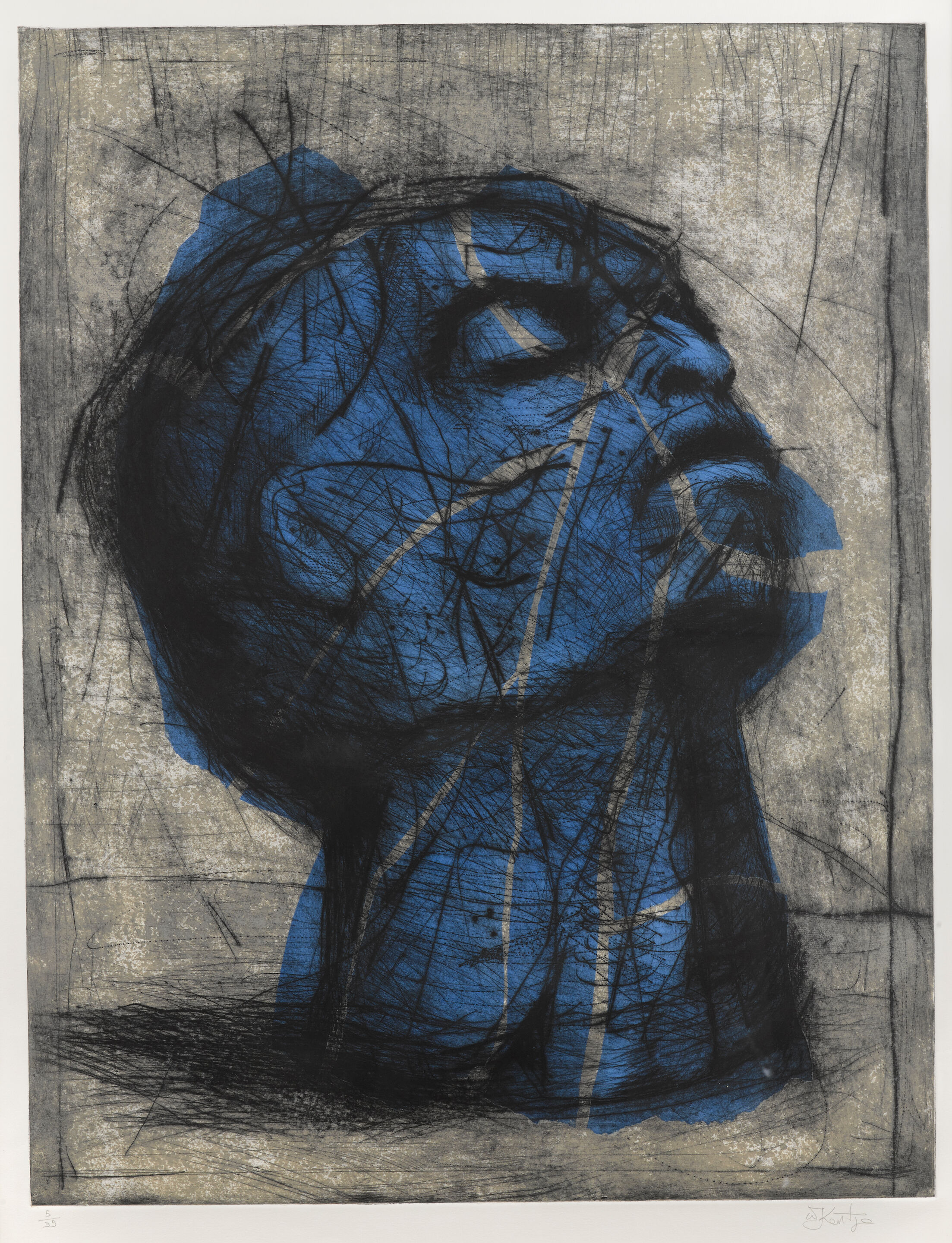 Blue Head
