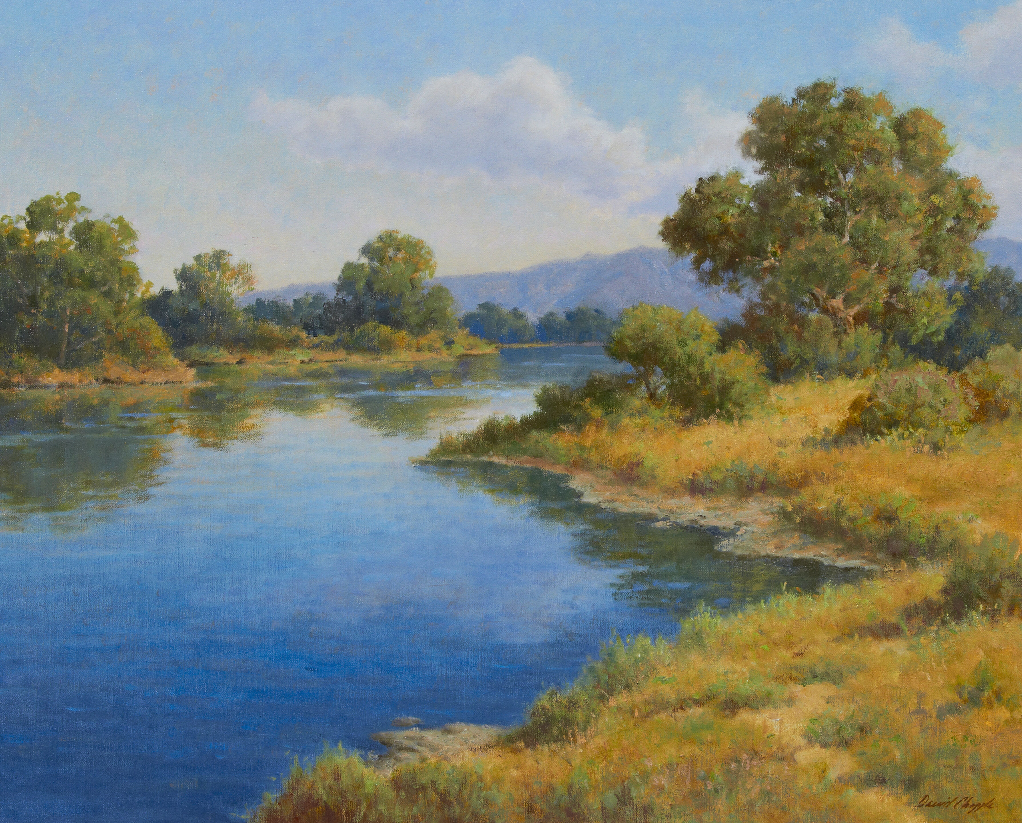 Summer Pond