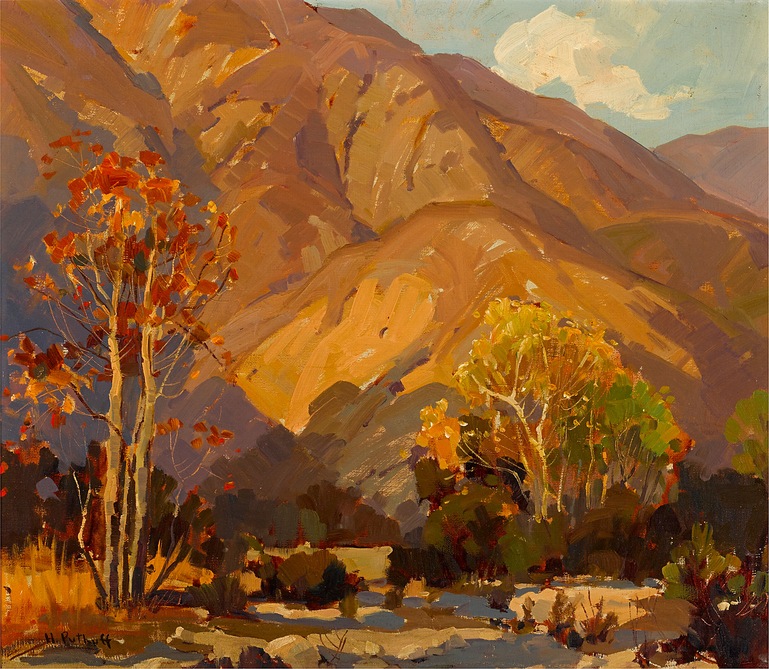 Foothill Shadows