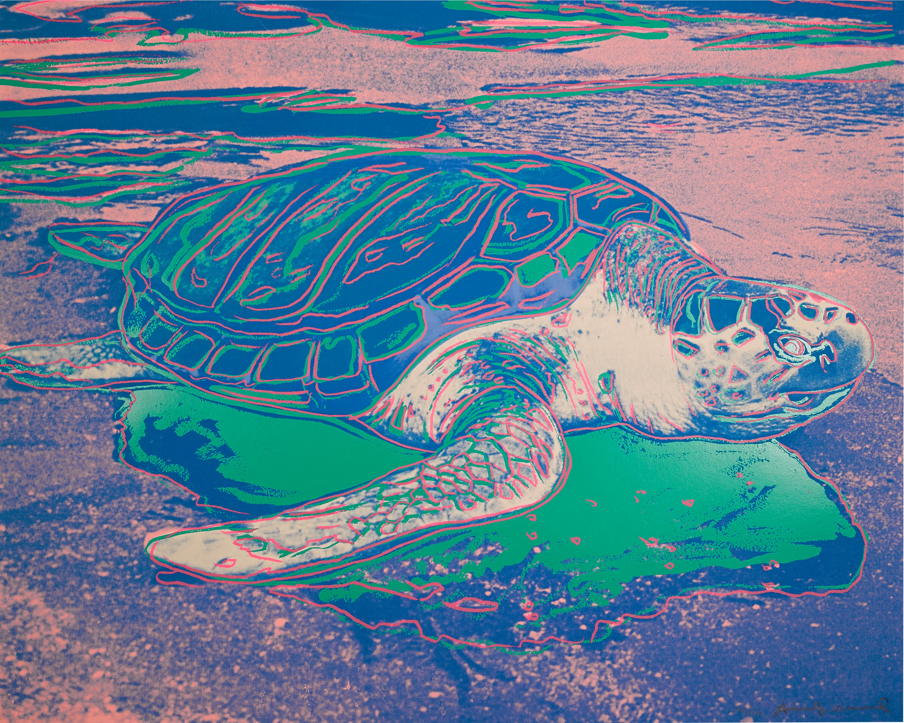 Turtle