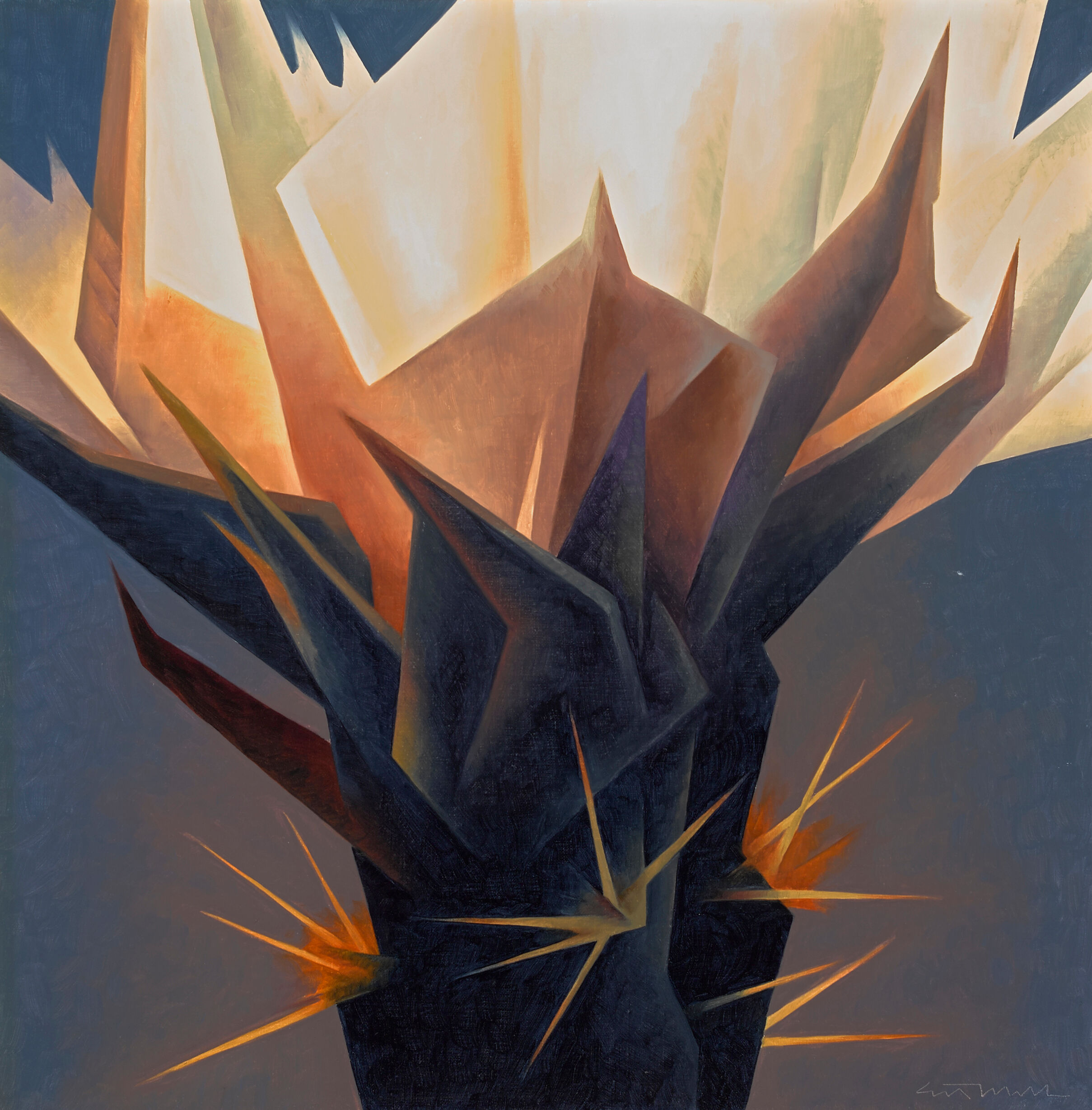 Firecracker Cactus