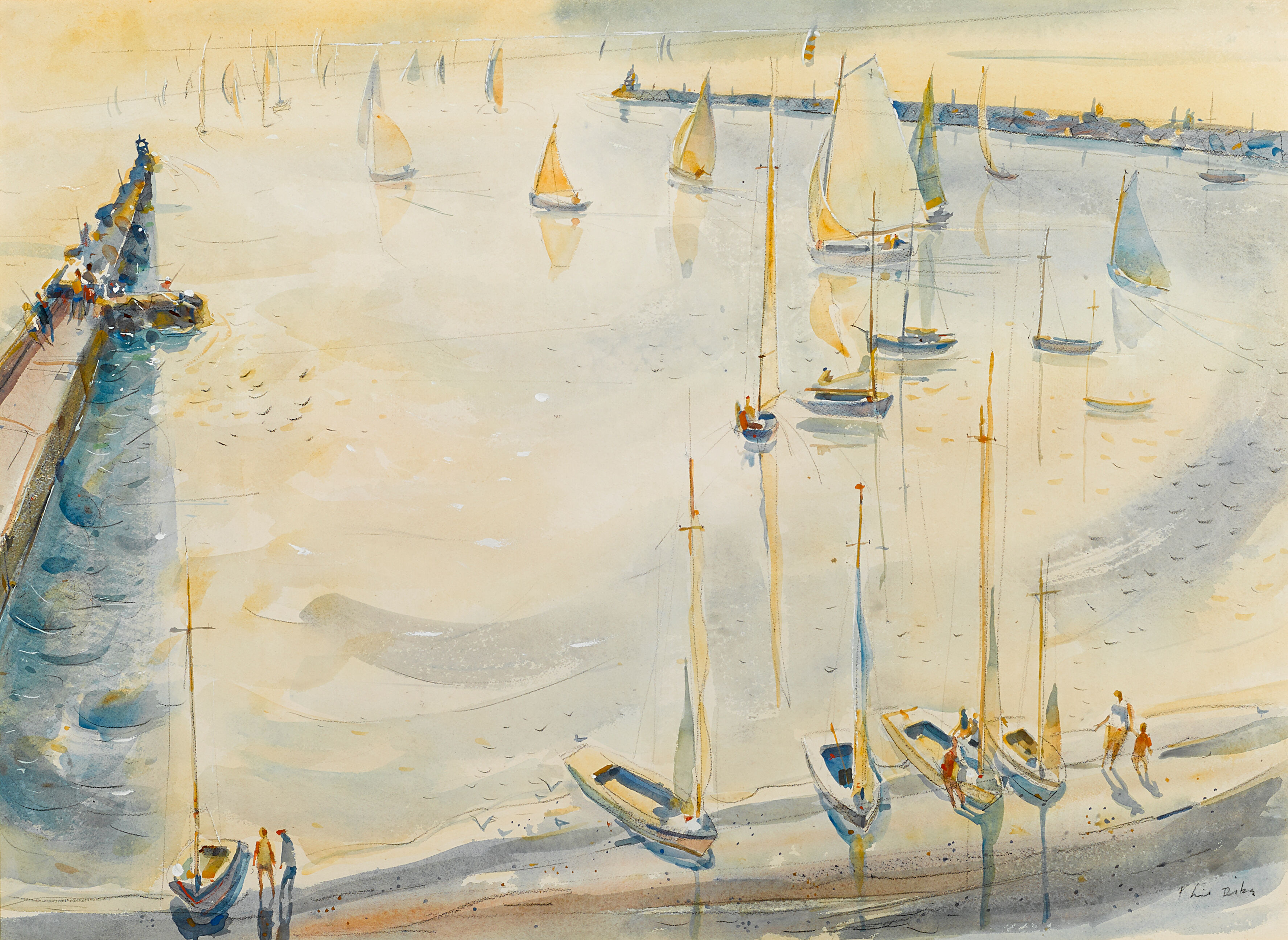 Summer Surface