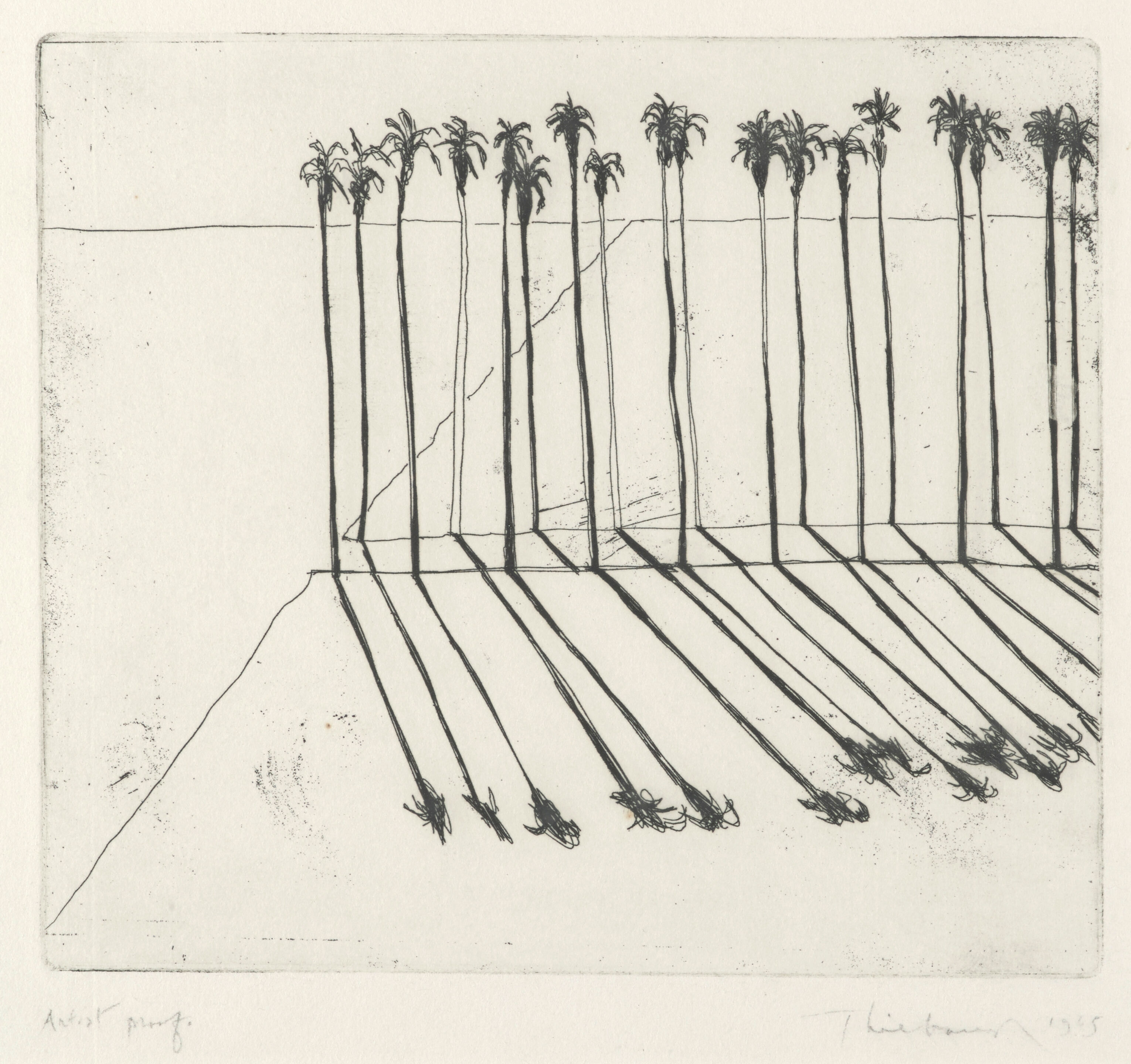 Palms
