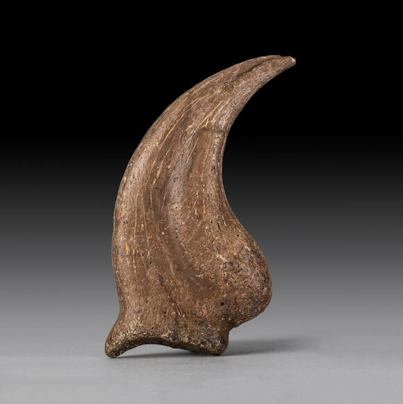Bonhams : A Giant Raptor Hand Claw