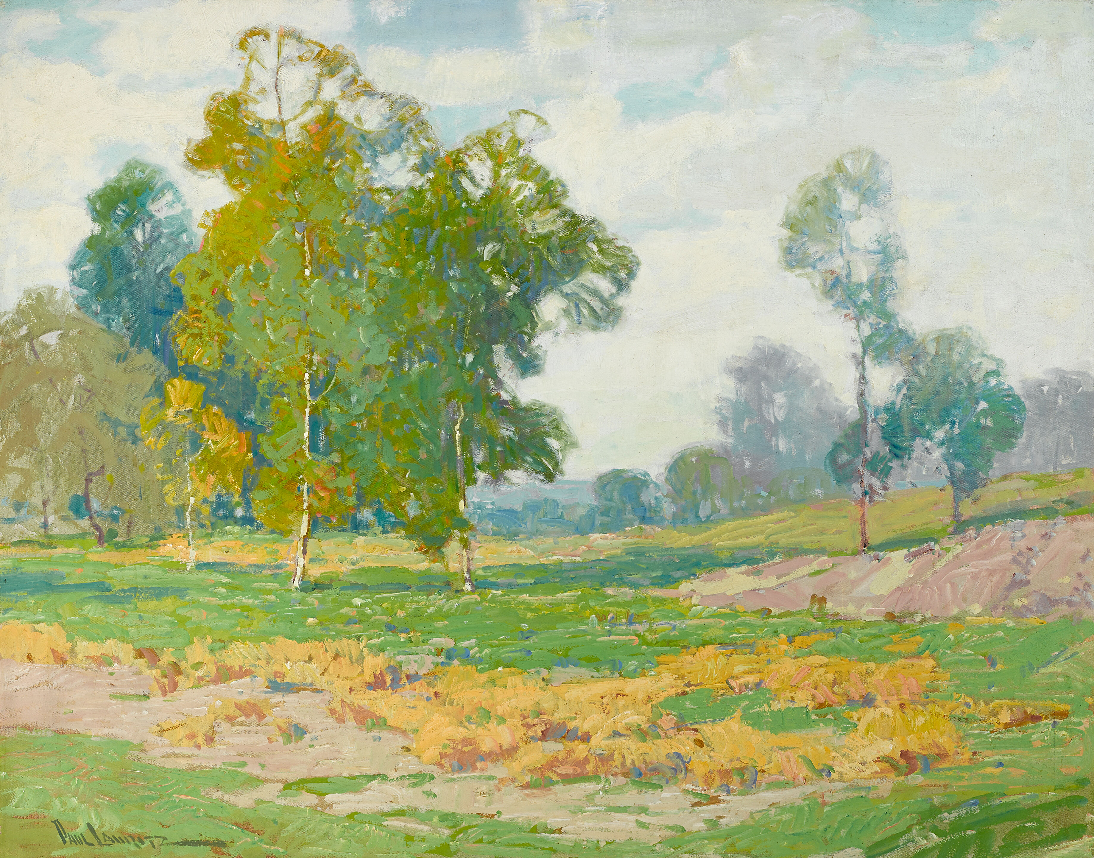 Eucalyptus and Green Fields