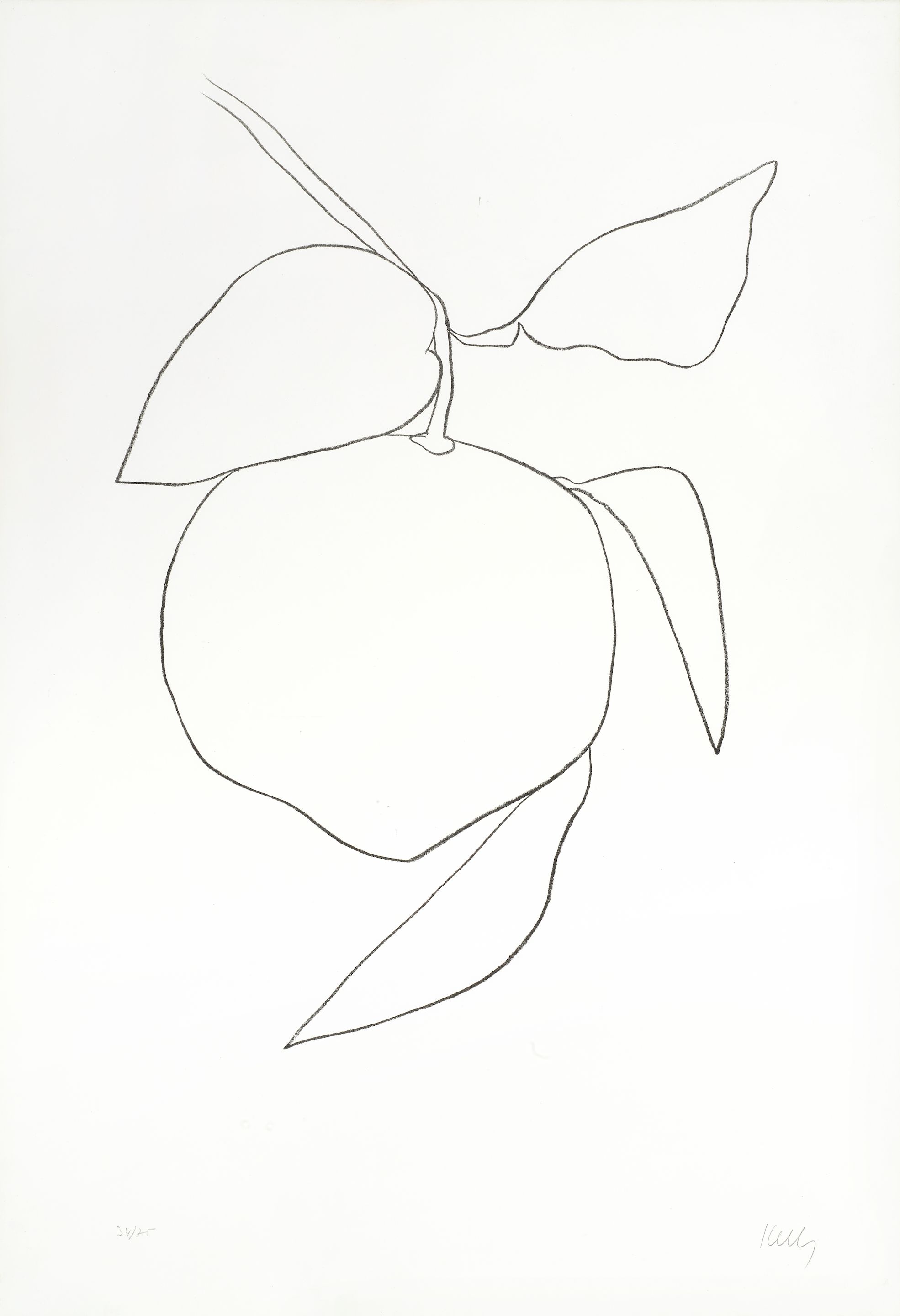 Tangerine (Mandarine), from Suite of Plant Lithographs