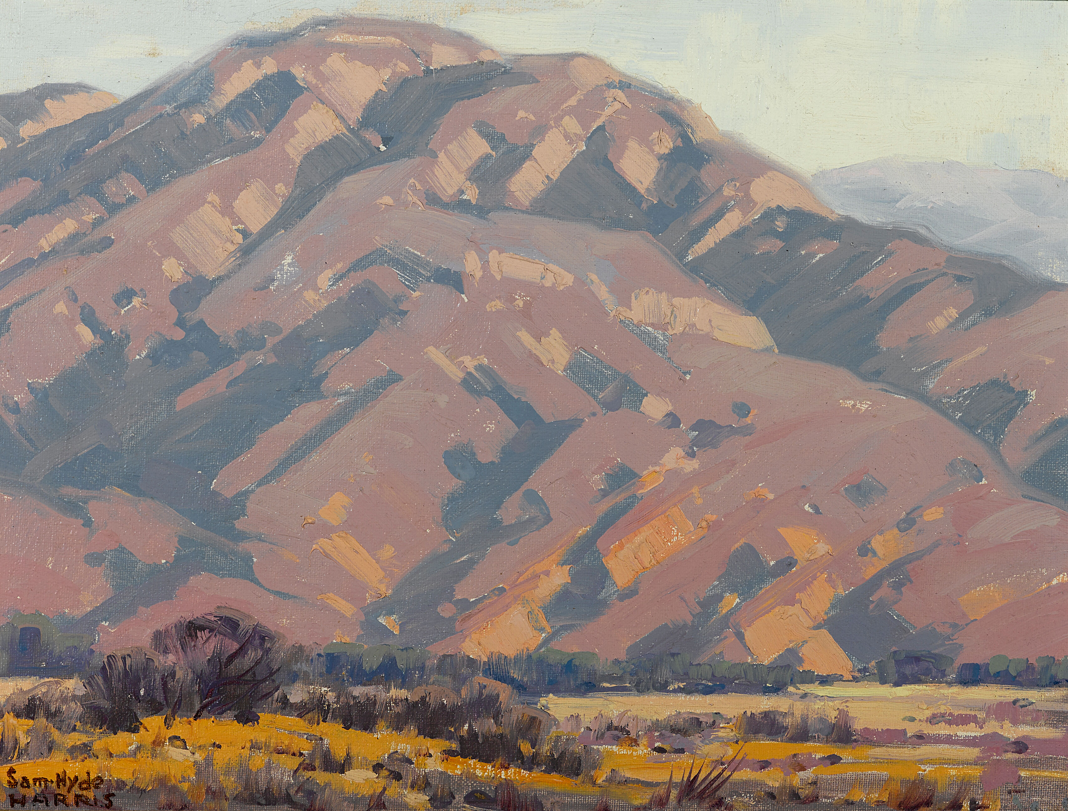 Sunlit Foothills