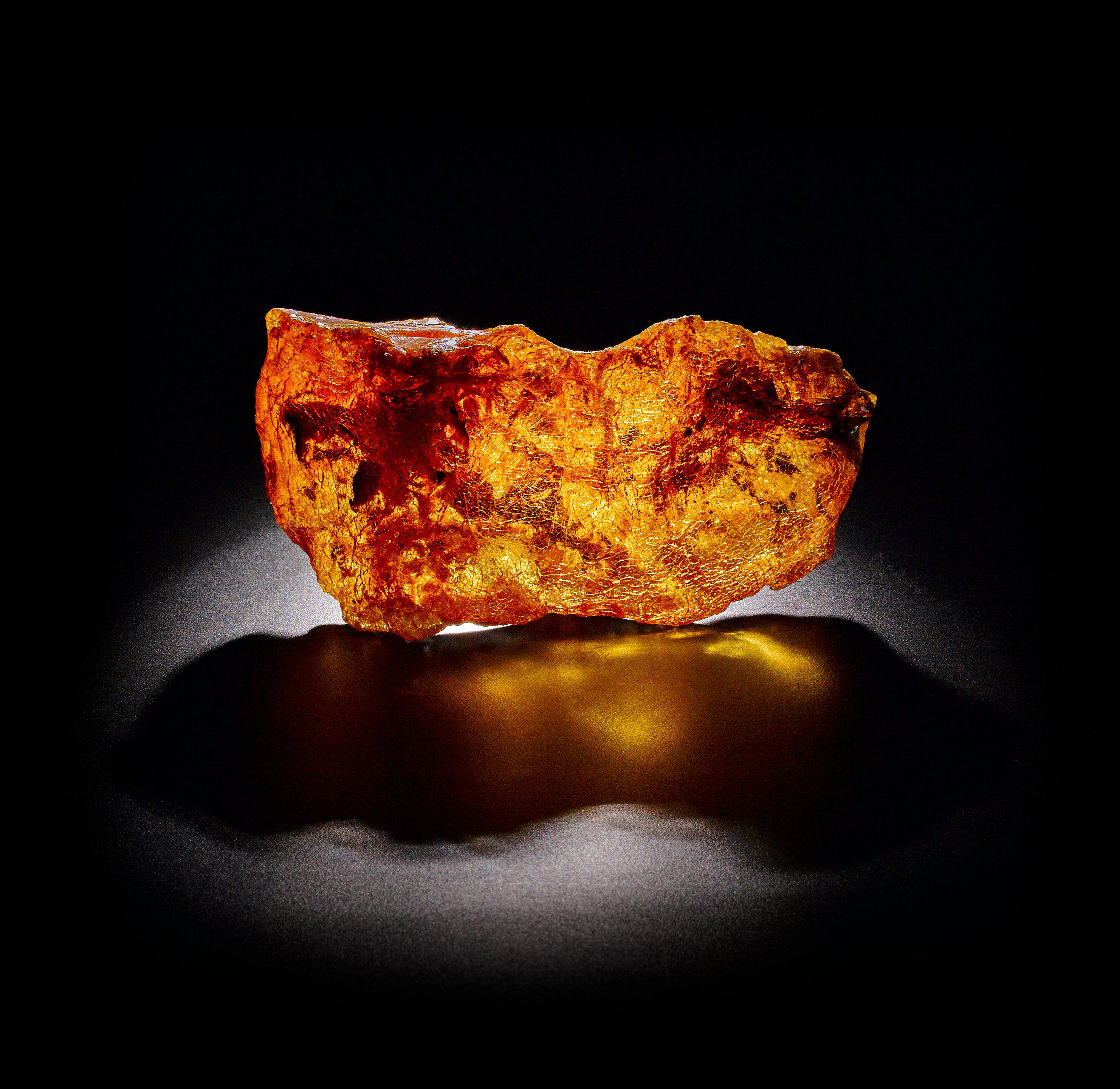 Bonhams Copal variety Kauri Gum