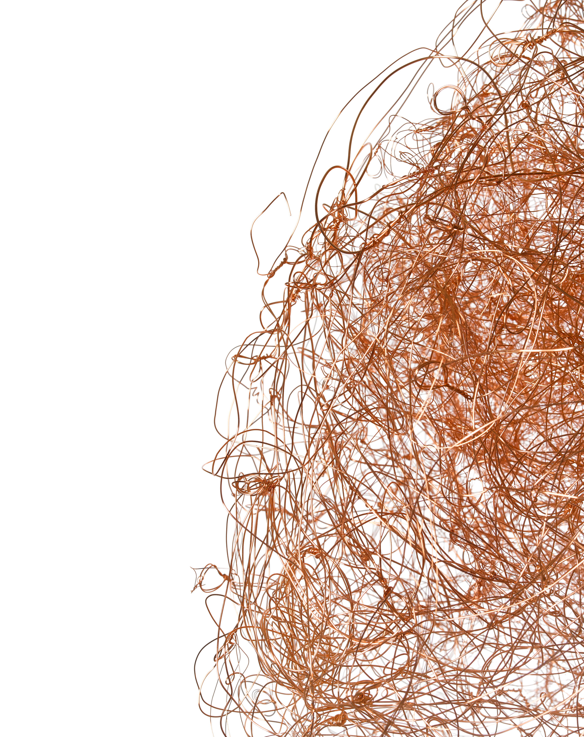 Untitled - Thumb 3