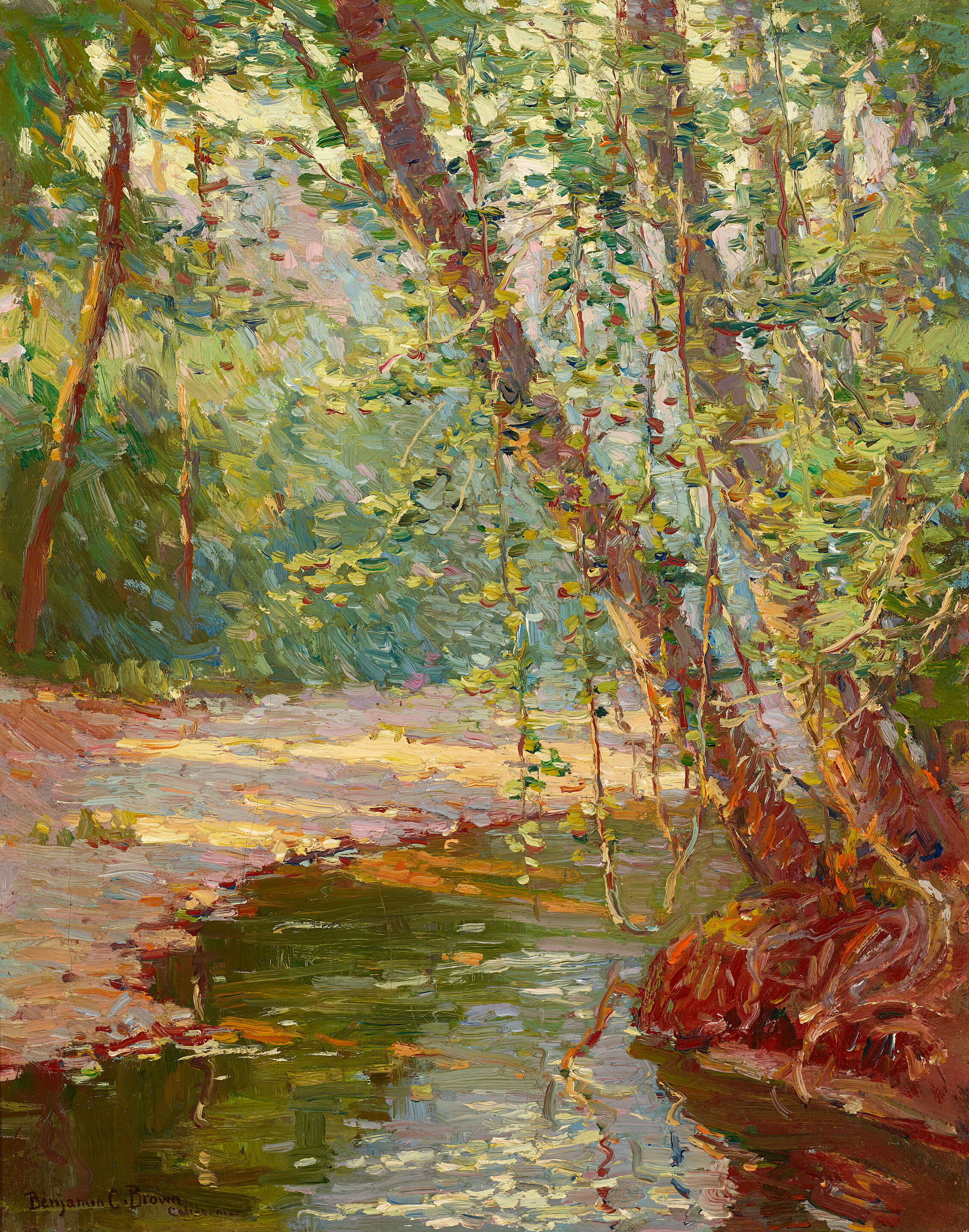The Forest Screen