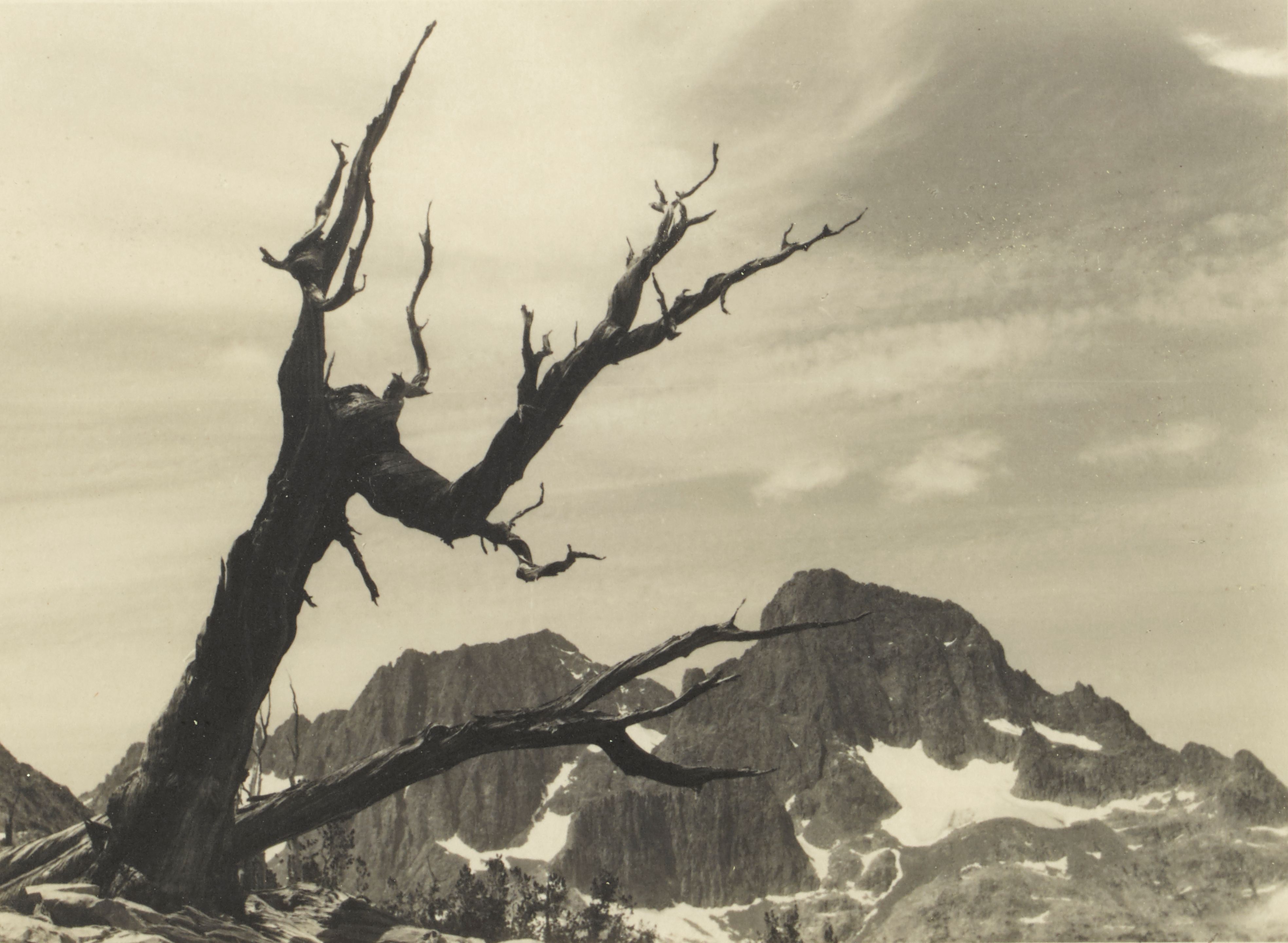 Selected Images of the High Sierra