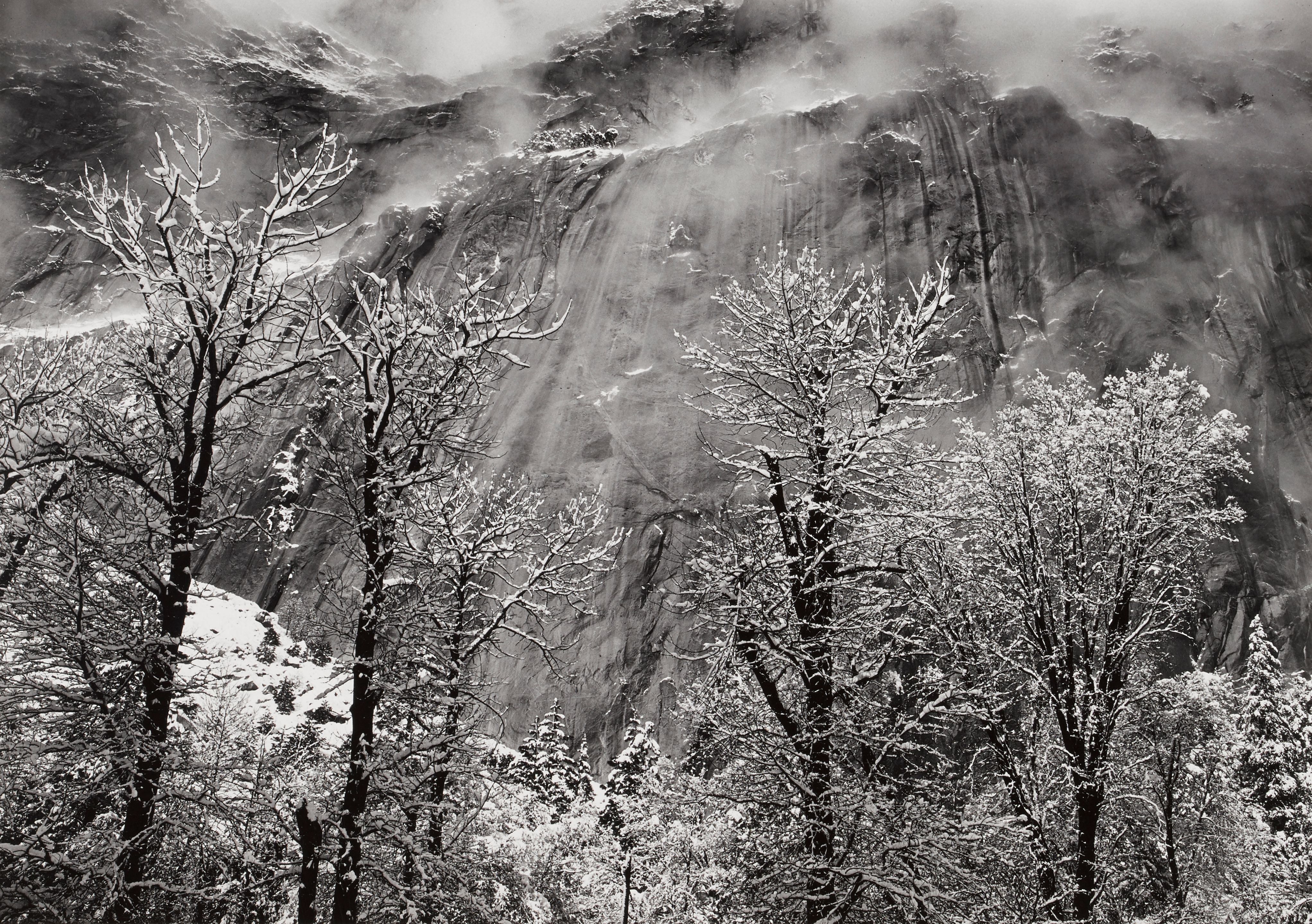 Trees and Cliffs of Eagle Peak, Winter, Yosemite Valley, California