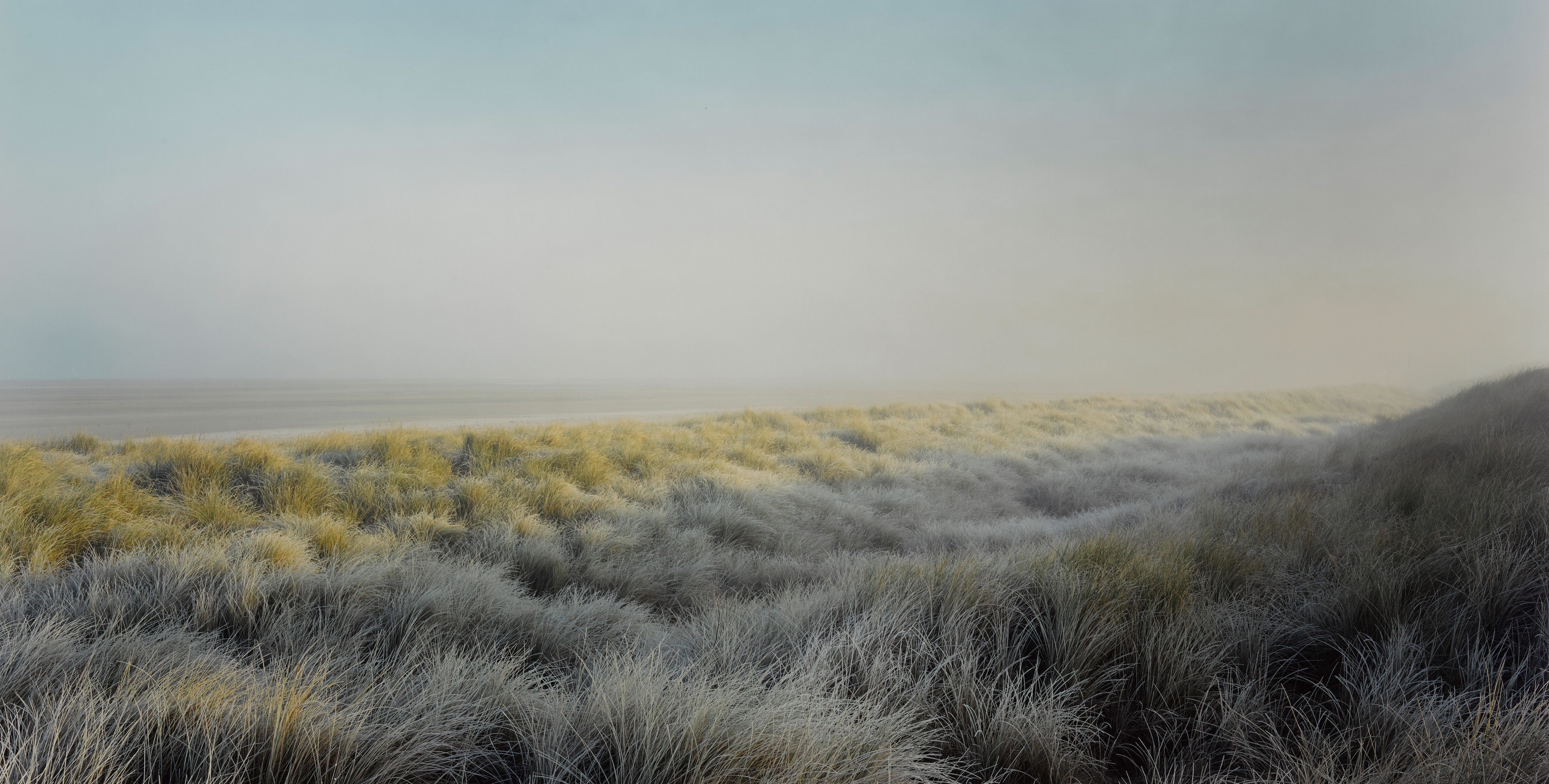 Frosted Marram