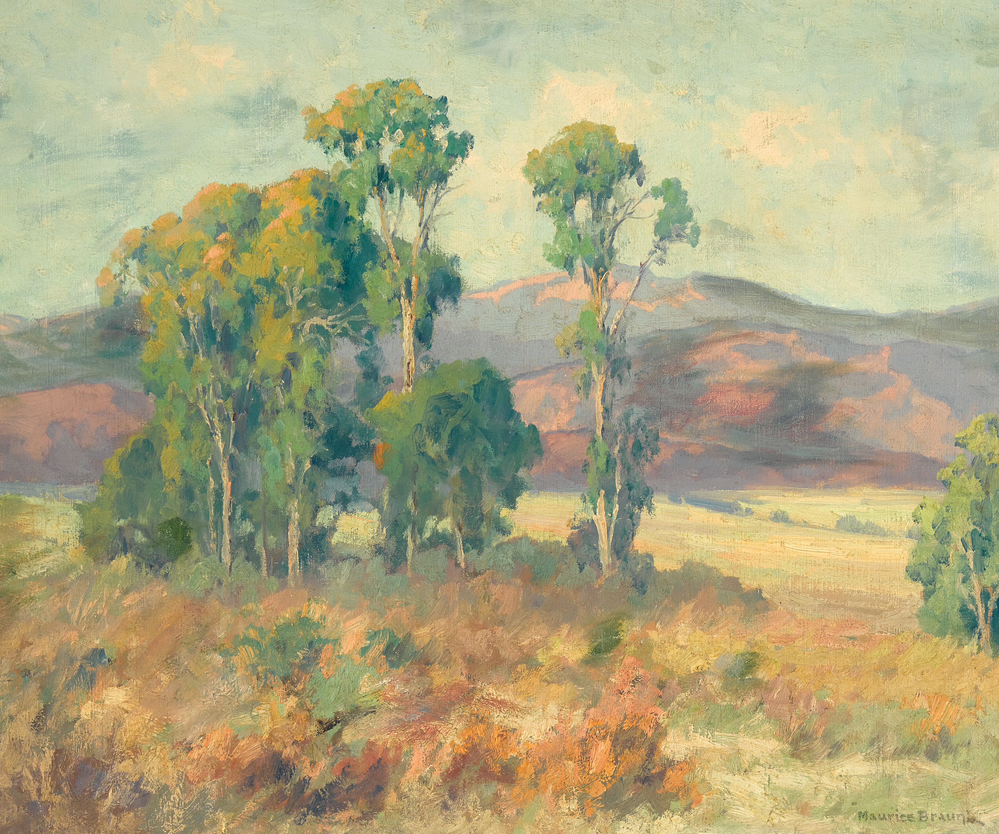 Eucalyptus