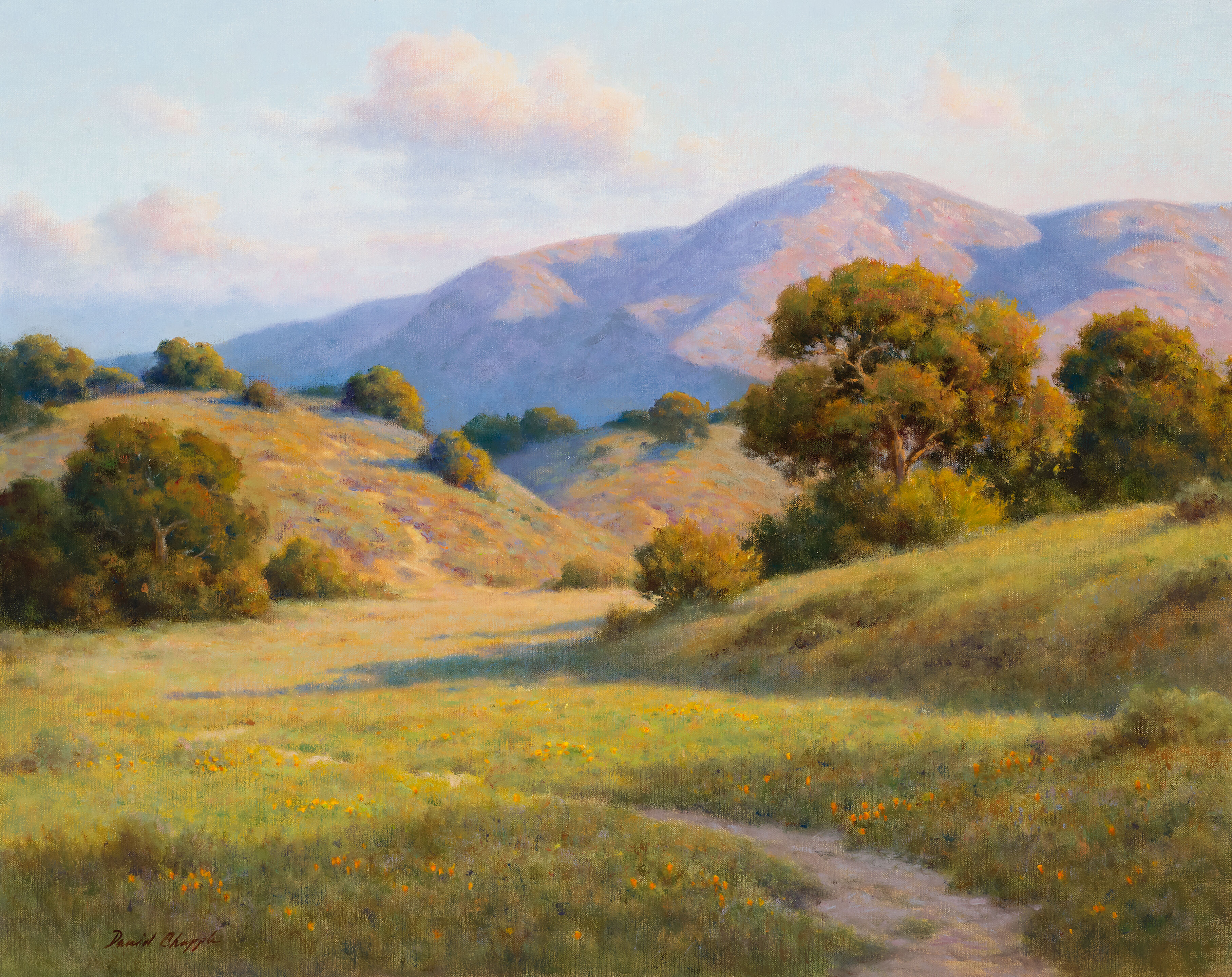 Valley Light