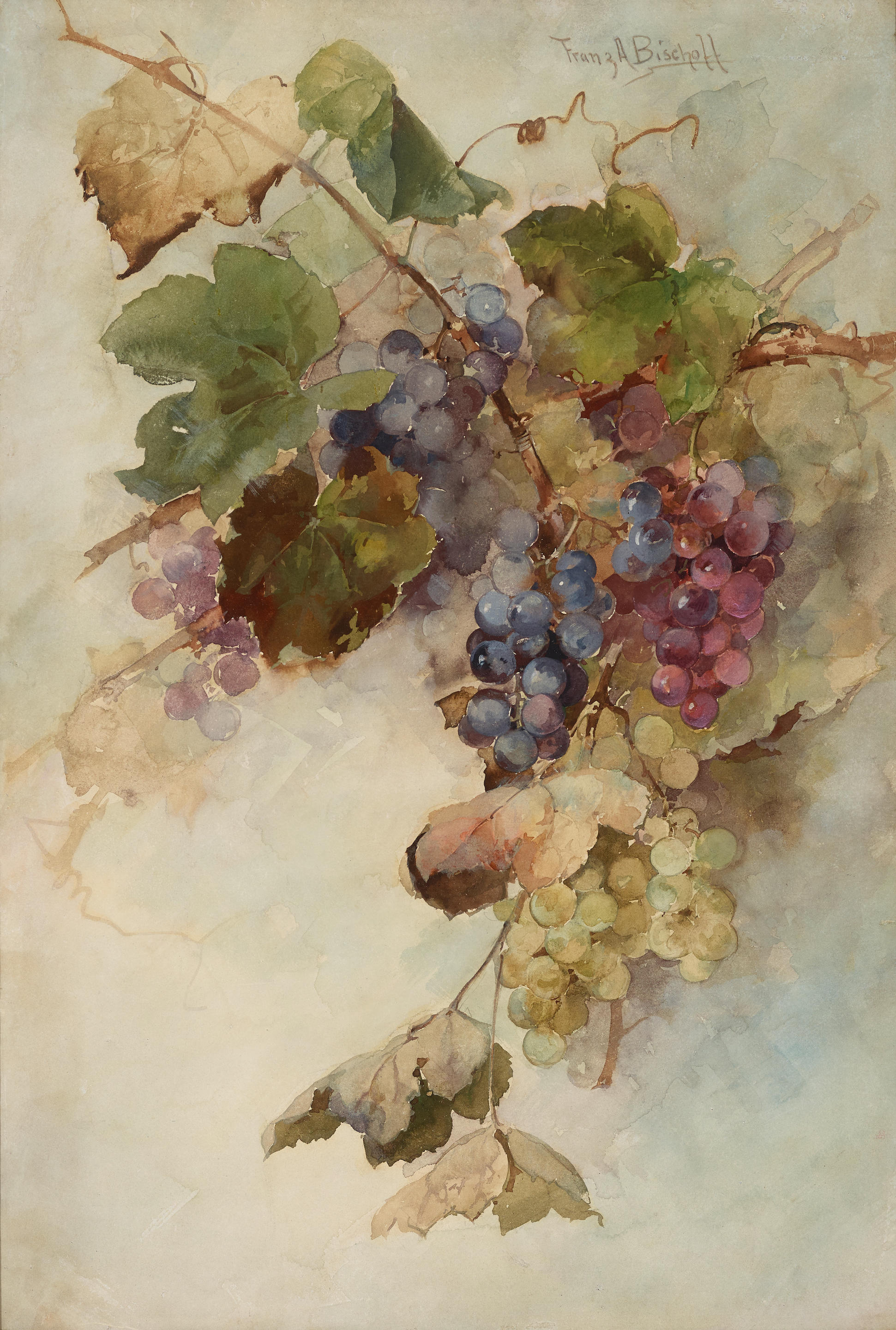Edwin Deakin.виноград