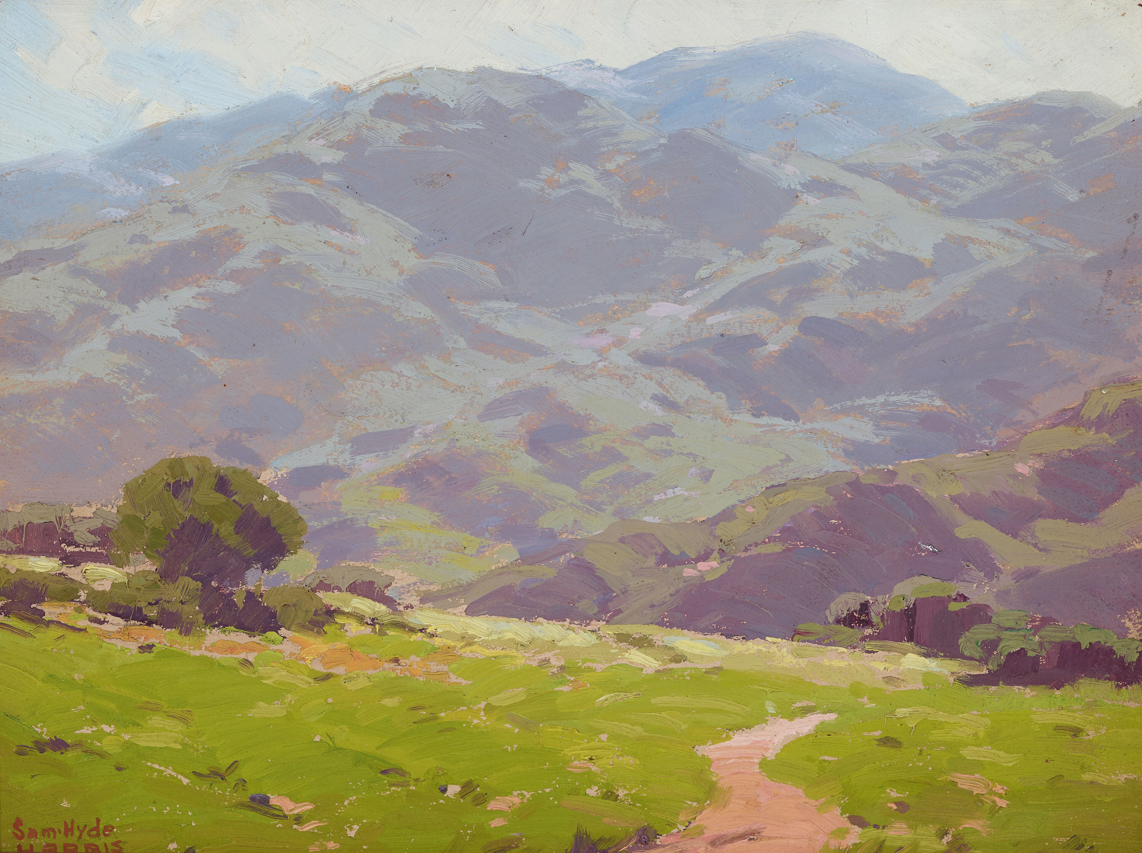 Tranquil Shadows