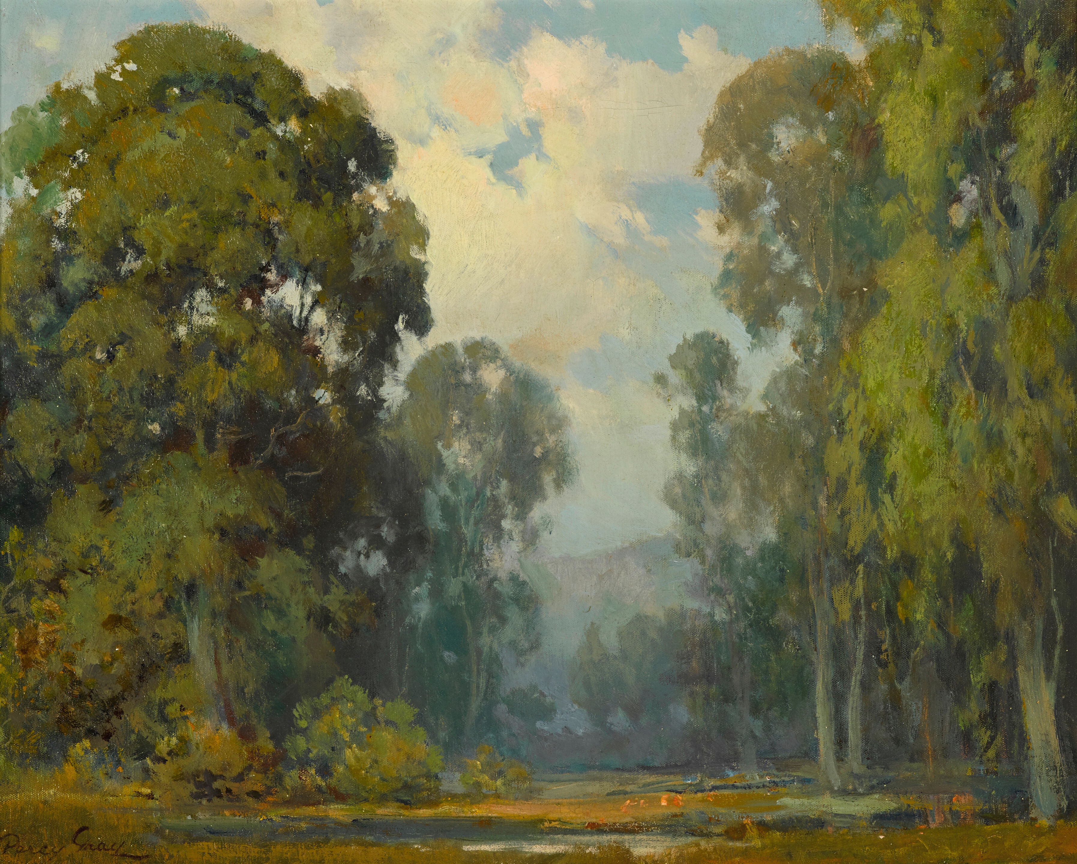 Eucalyptus Grove