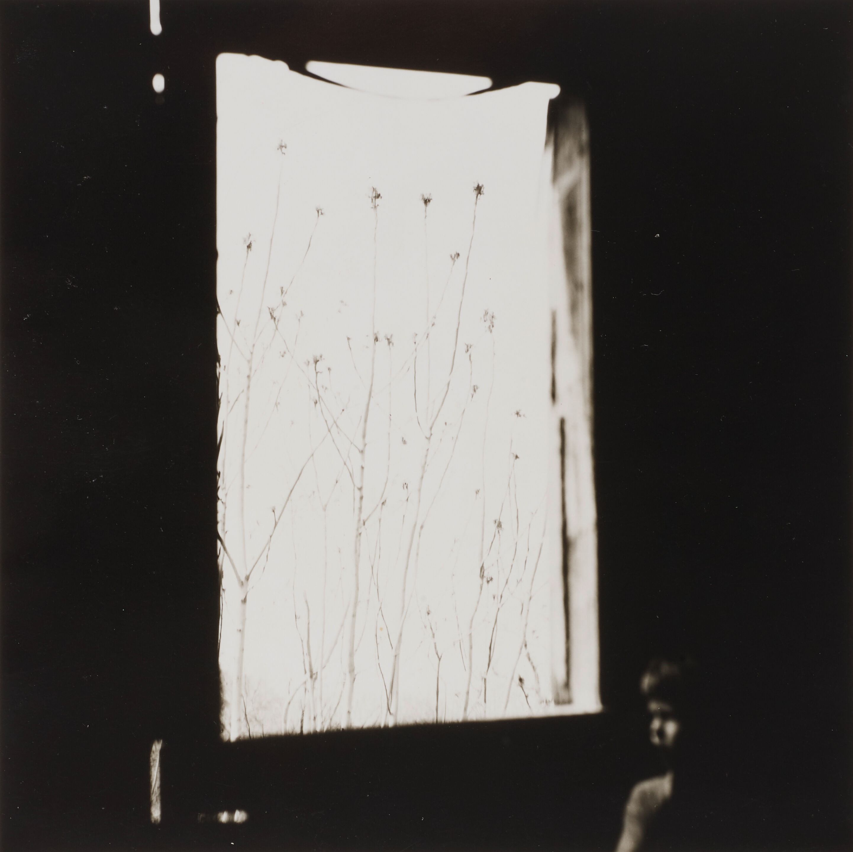 Untitled (Boy by window)