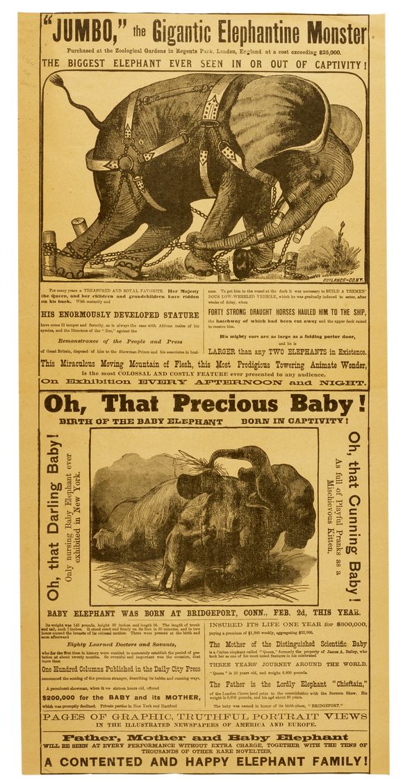 Bonhams JUMBO THE ELEPHANT. Jumbo, the Gigantic Elephantine Monster The Biggest Elephant