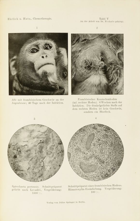 Bonhams Ehrlich, Paul. 18541915; and Sahachiro Hata. 18731938. Die