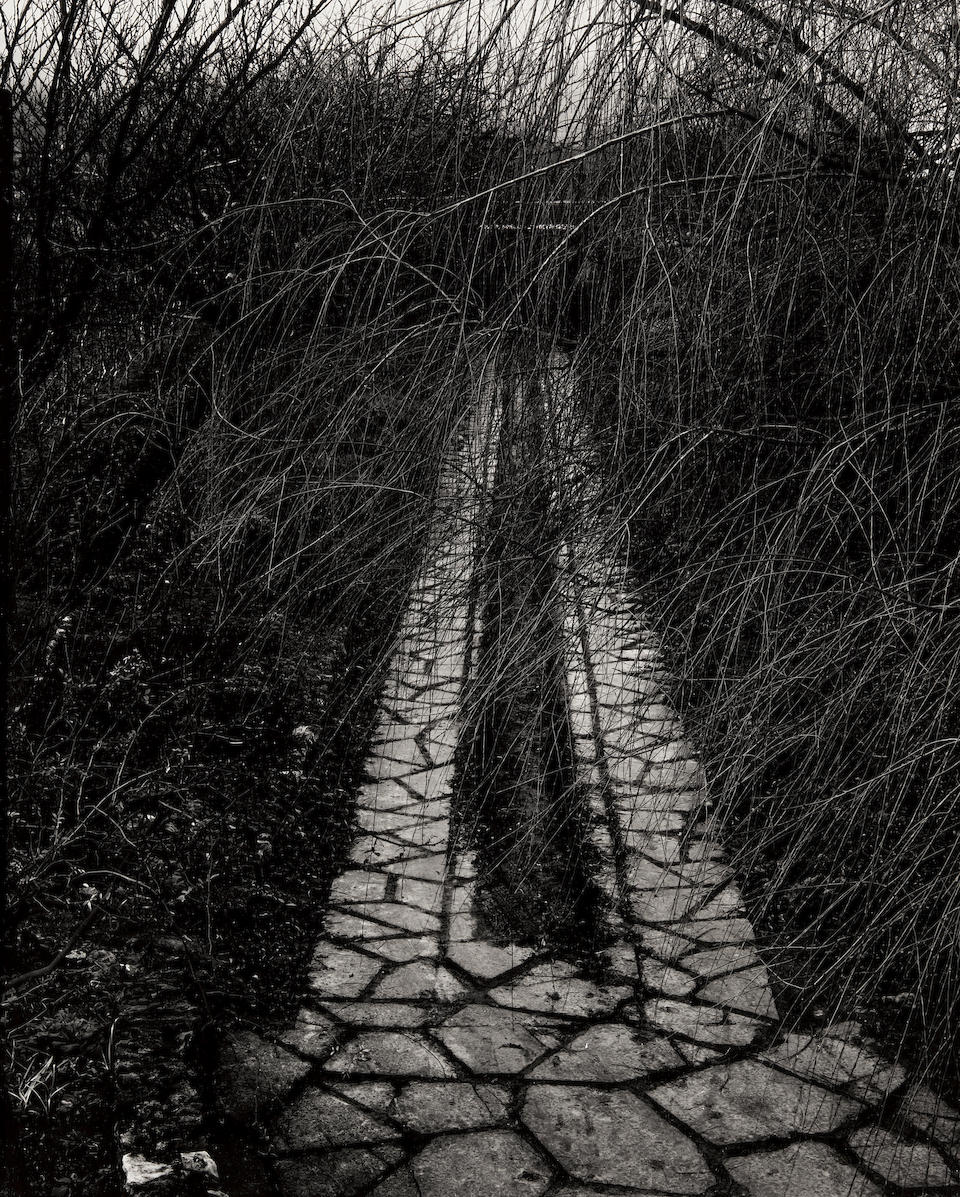 More path. Paul Strand. Перекати поле картинки депрессивные. Paul Strand abstract. Бесконечная картинка француза.