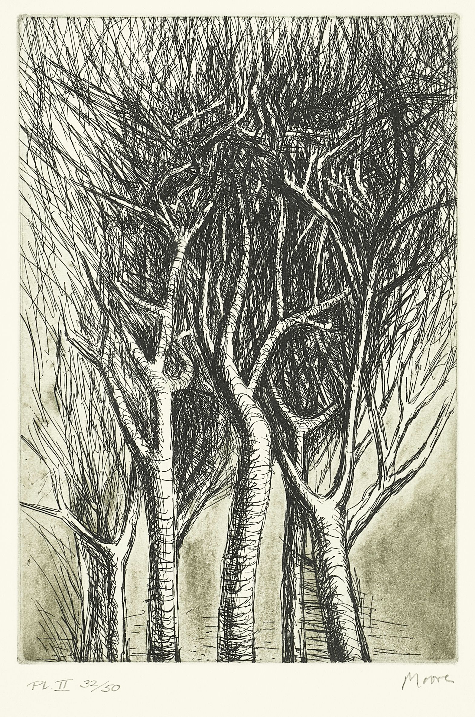 Trees II Upright Branches, from Trees Album