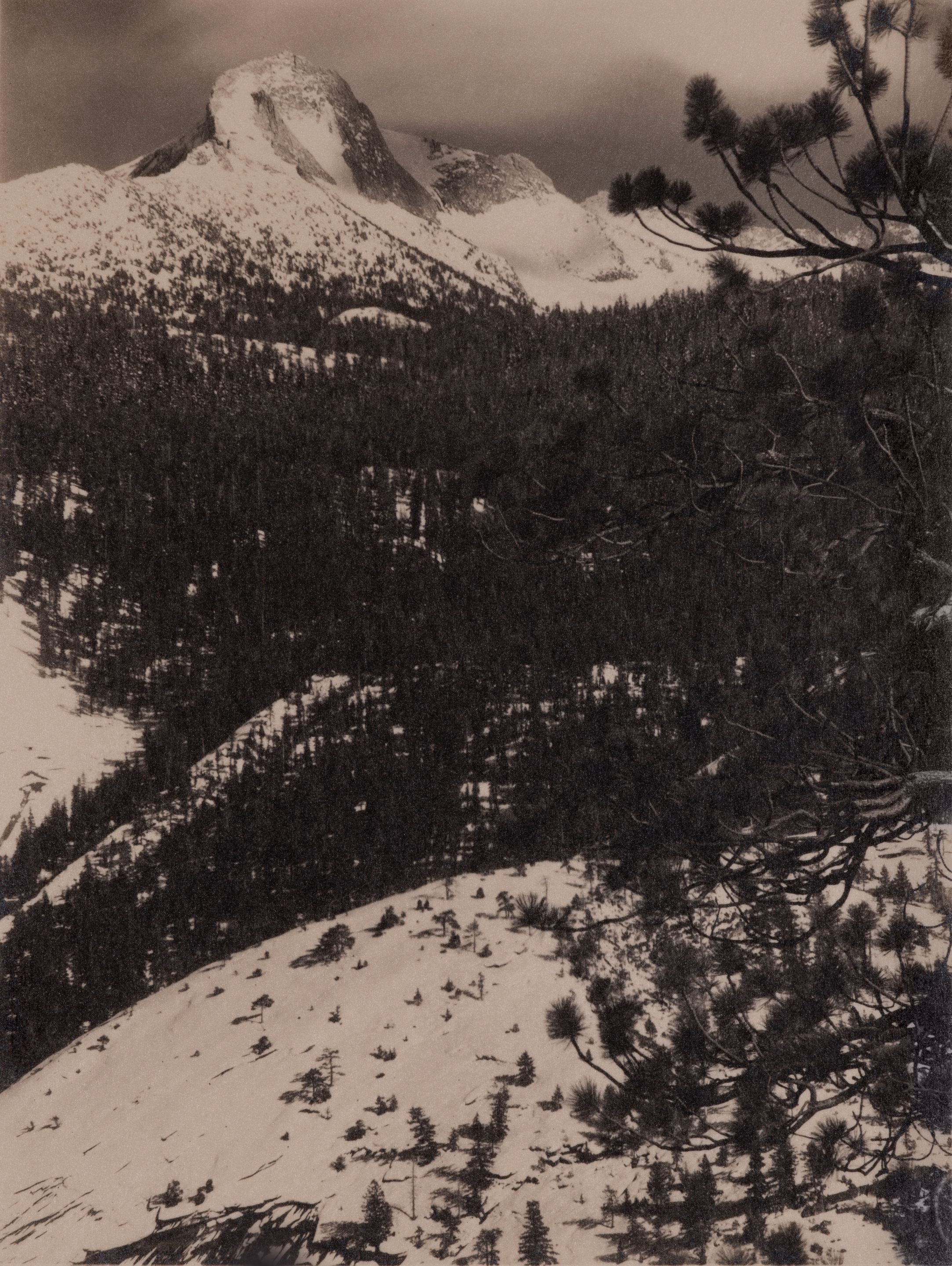 Mount Galen Clark