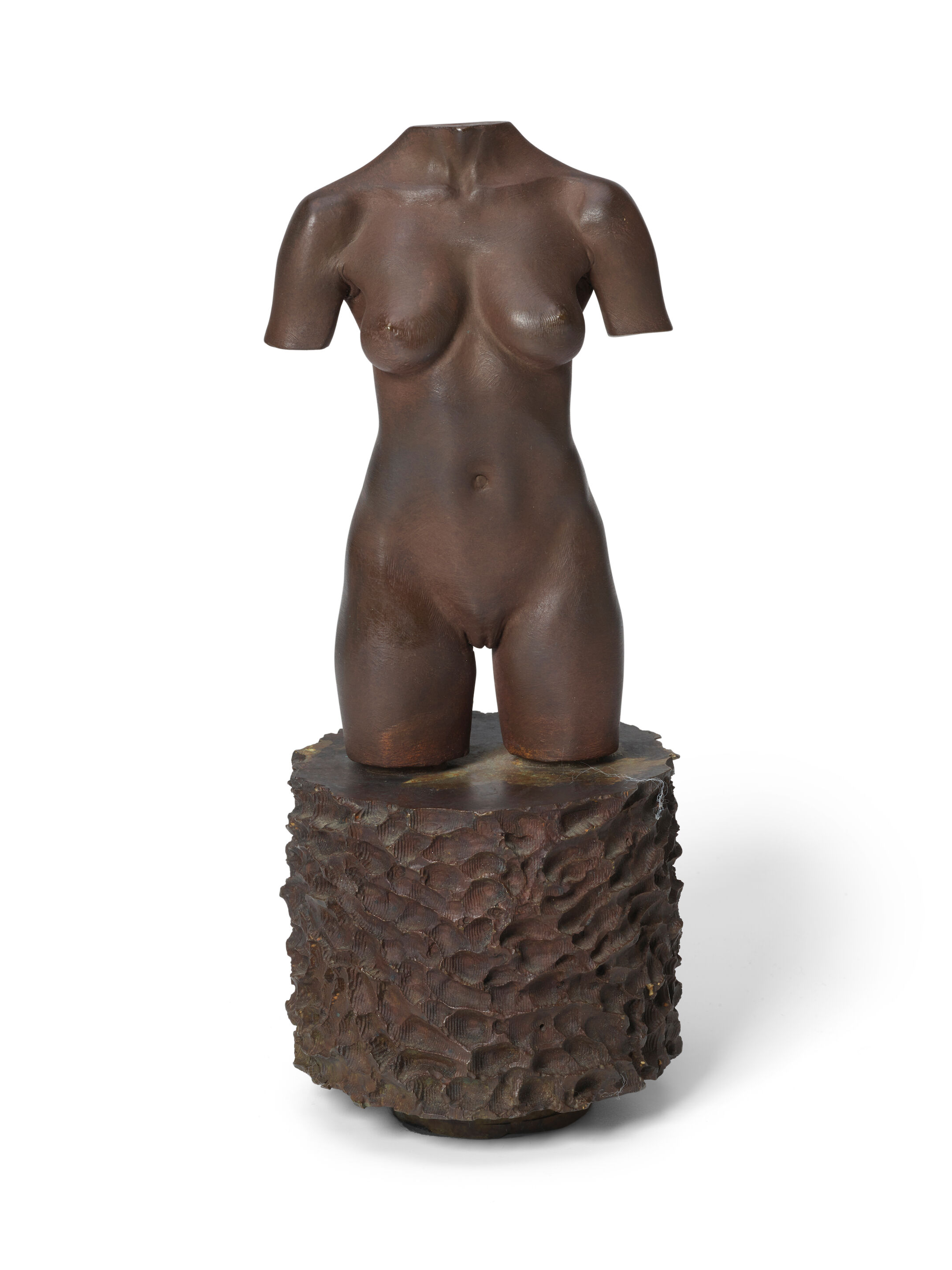 MOCA Torso